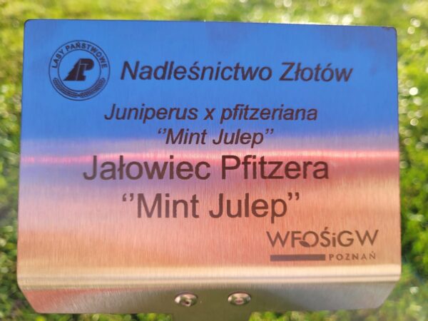 Tabliczka ogrodowa wtykana, nierdzewna, DUŻA, 10szt, 155x105x450 Producent - obrazek 10