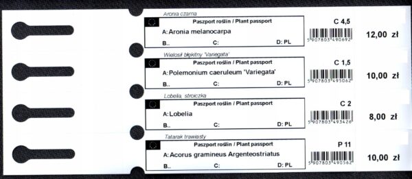 Etykiety sadownicze PASZPORT ROŚLIN 250x25mm 8szt  (25x250) - obrazek 15