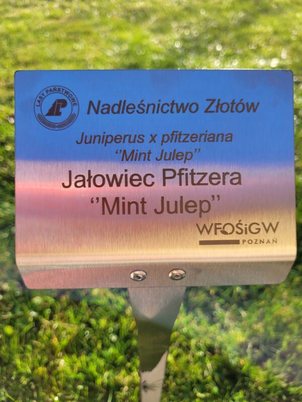 Tabliczka ogrodowa wtykana, 155x105x450 mm, CZARNA, Aluminium zestaw 10 szt - obrazek 8