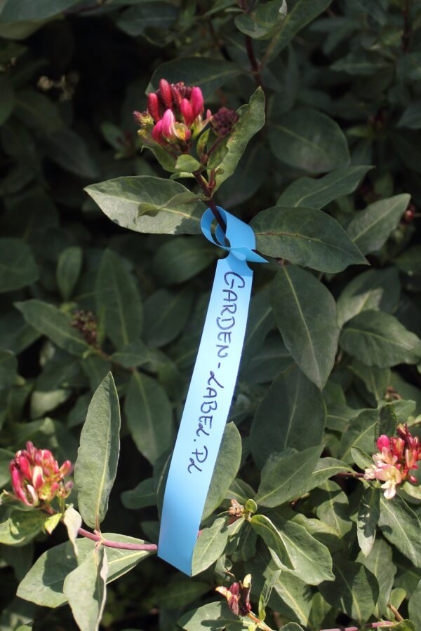 Marker ogrodniczy (mazak, pisak) permanentny, odporny Garden Marker II Czarny 1szt - obrazek 9
