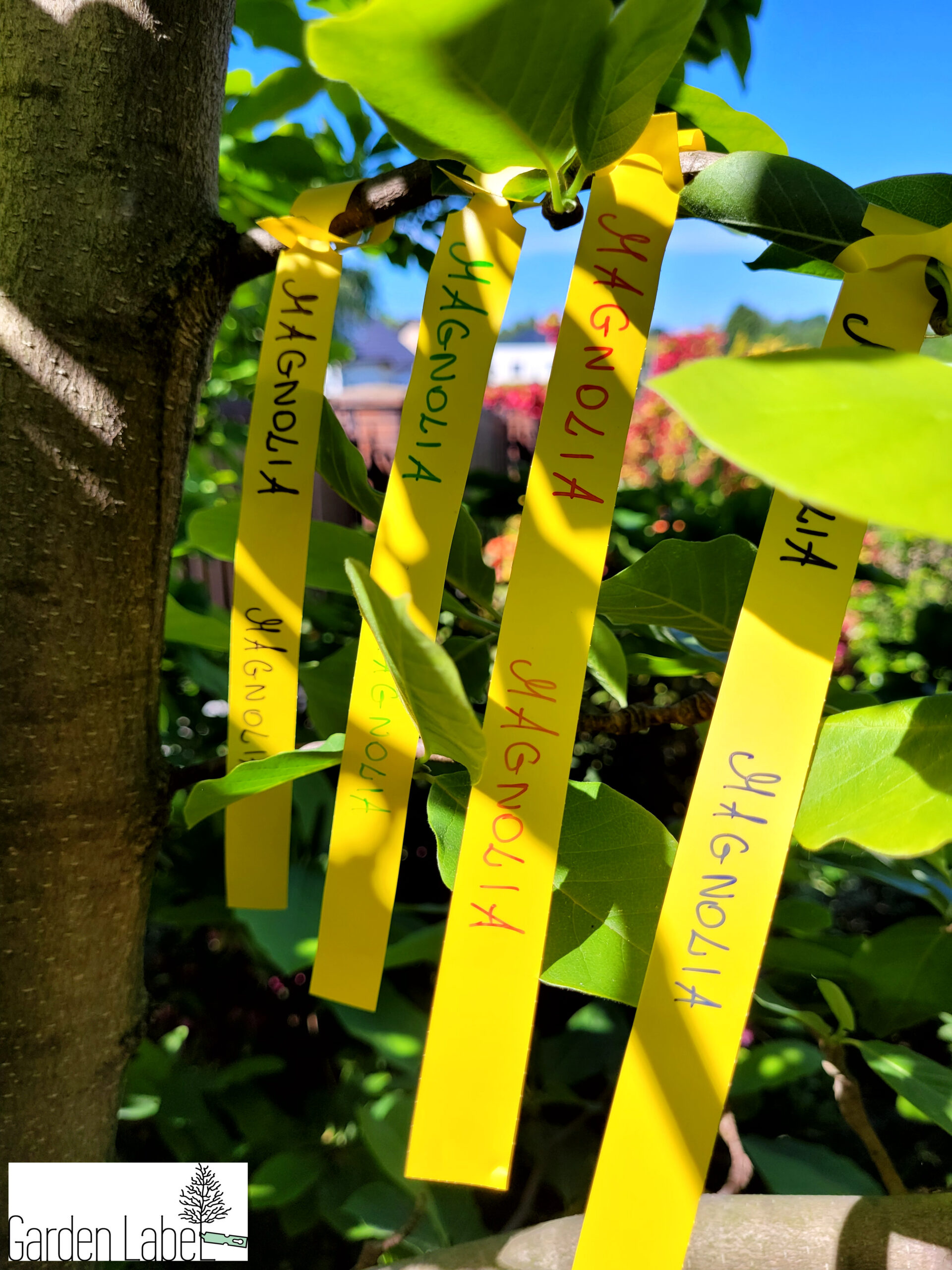 Etykiety ogrodnicze/sadownicze pętlowe ŻÓŁTE 400x20mm(20x400) 1000szt - obrazek 12