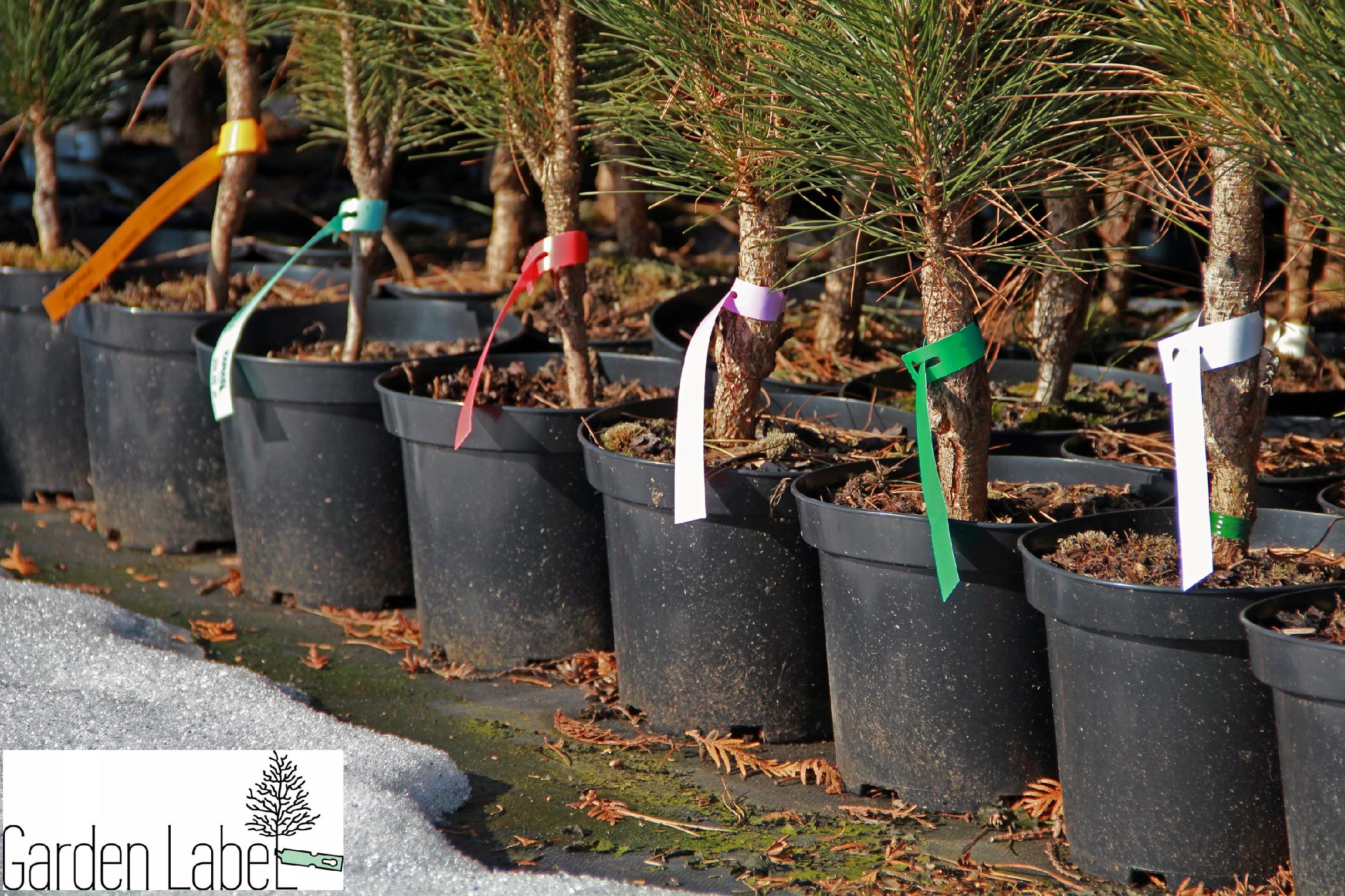 181a7a998246f519463d098aa0e49cfc