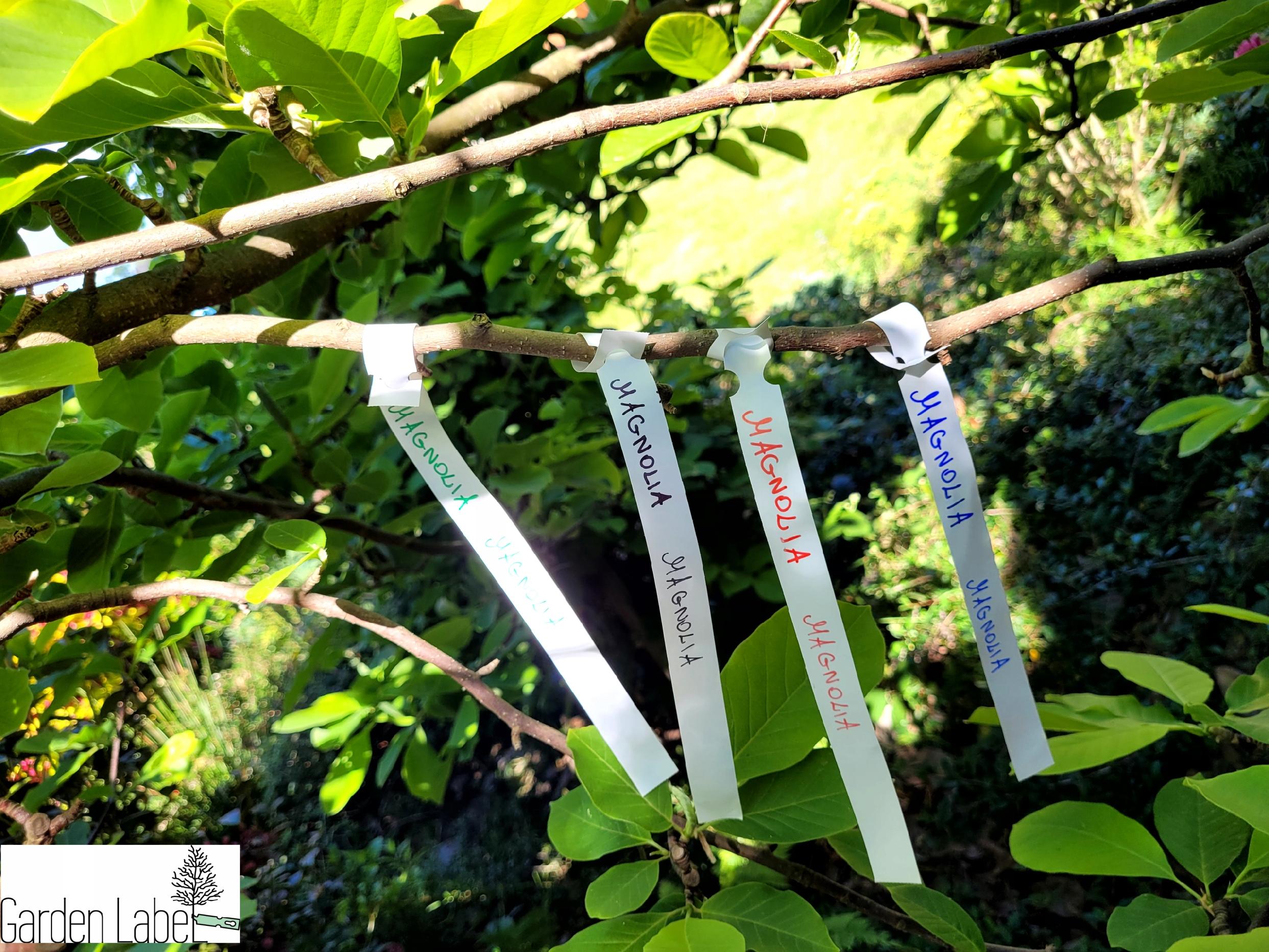 Etykiety ogrodnicze/sadownicze pętlowe BIAŁE BDUŻE 250x25mm(25x250)5000 sztuk - obrazek 4