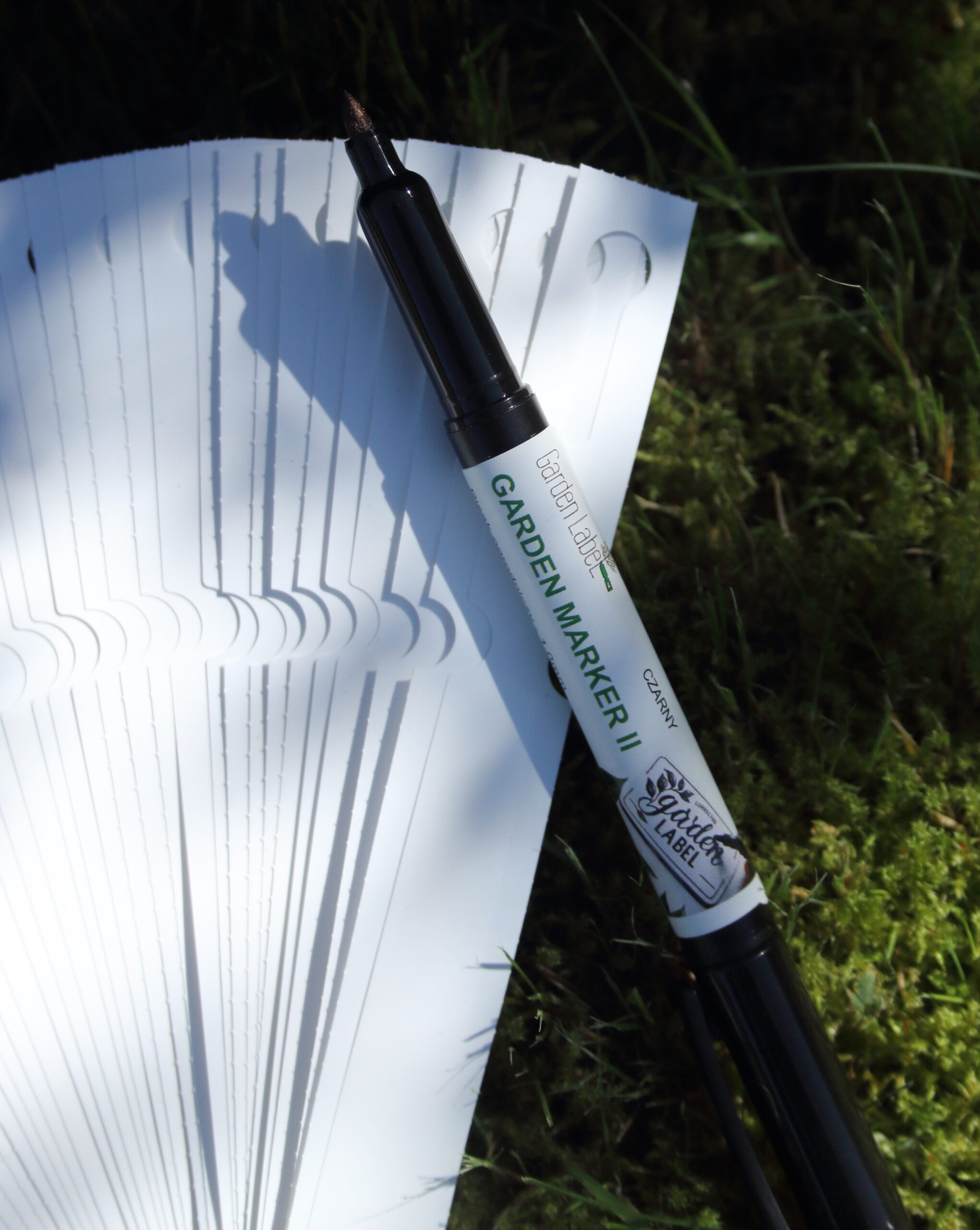 63bdd82a291c37b57a324c39fc136fd4