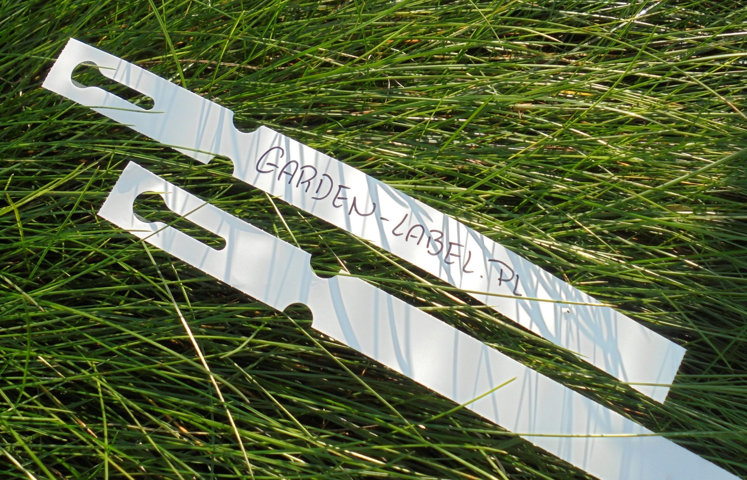 24833aa5c01d2e6dc65cc5fbcbf223f2