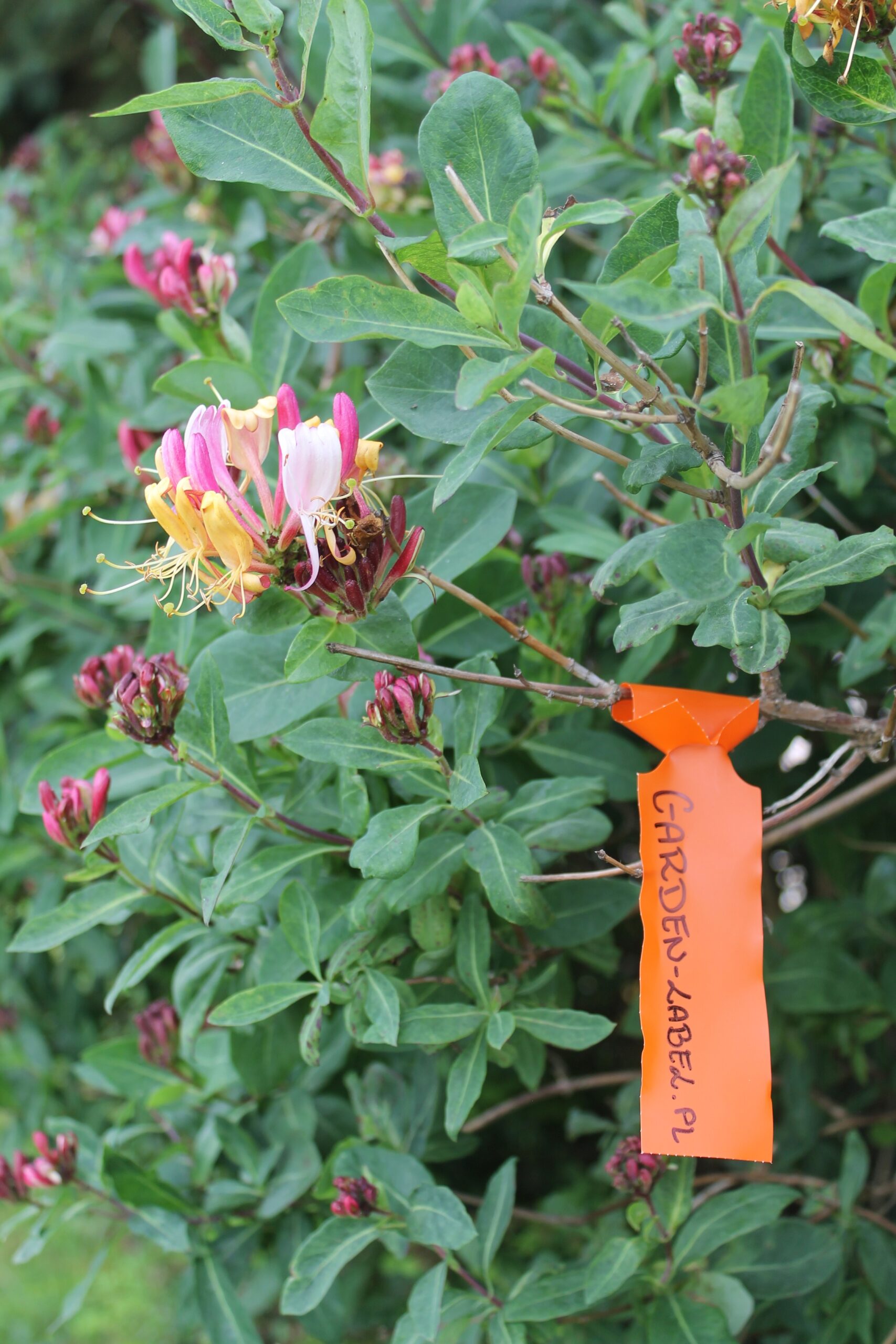 0bb9b96a9042e261b5cedcfd1a3e7f91