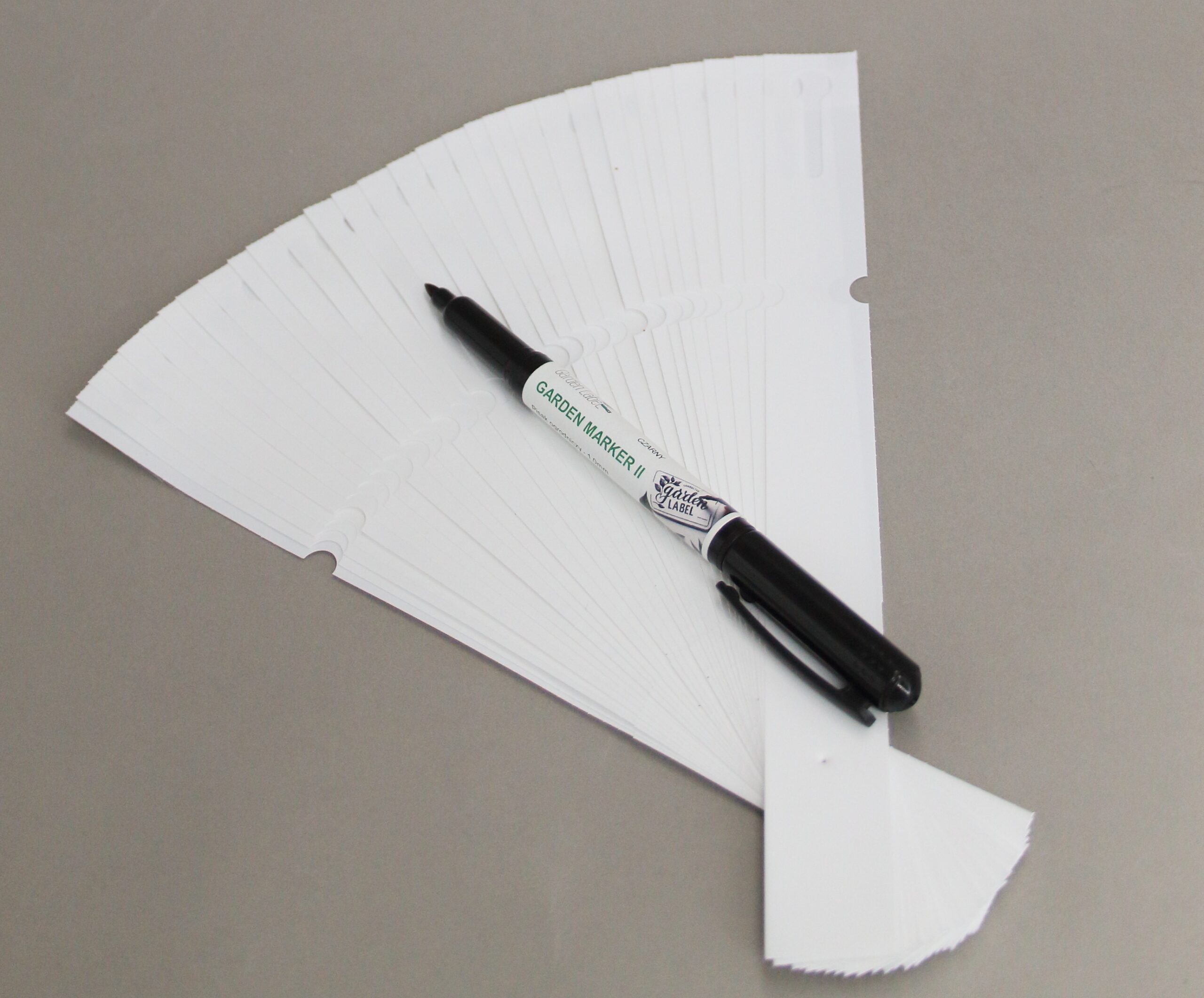 01f93cc76b0483485faebd9d761c893f