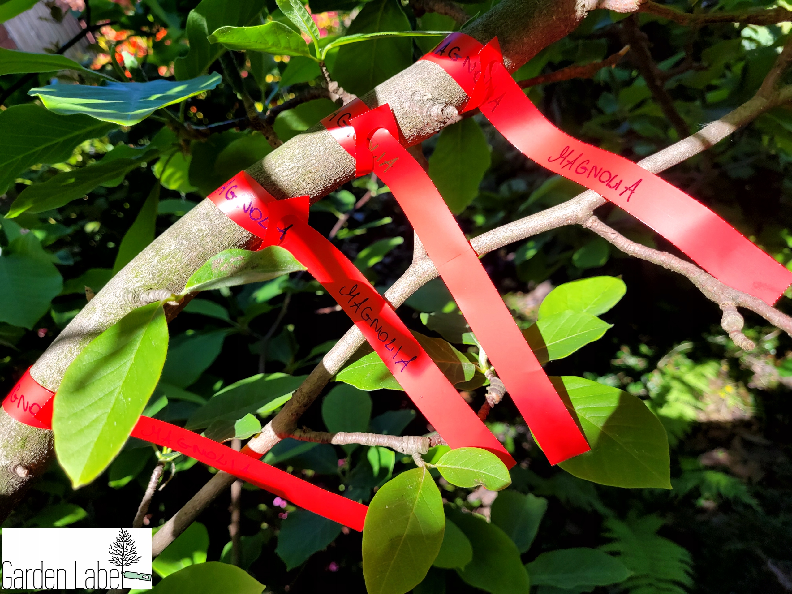 a1c33e02a411d12aba29584e18cad9b6