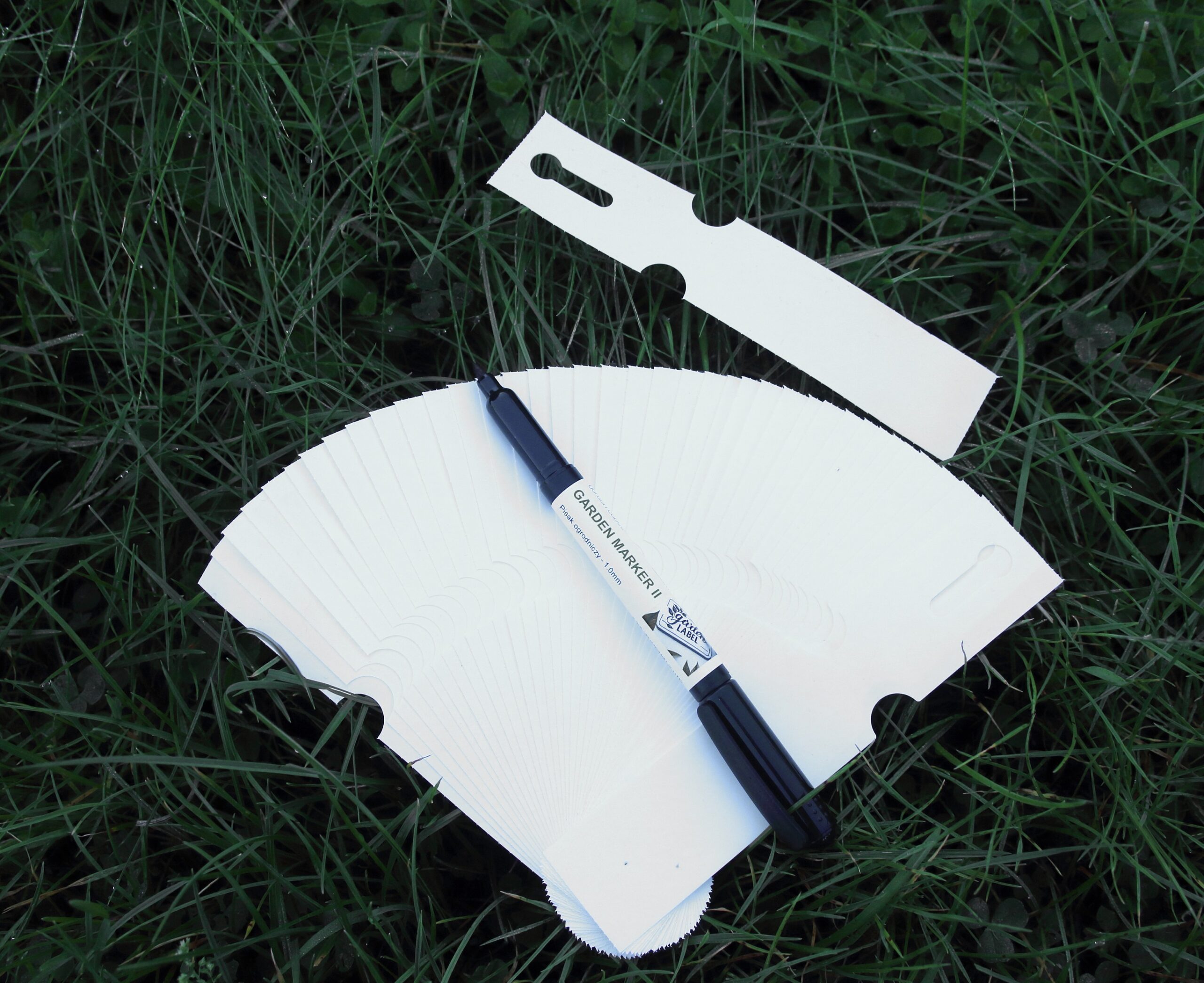 9d16fd58a1d4afcf1542506819448236