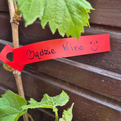 68b4da10ead3c3d77d962fbd88f0061b