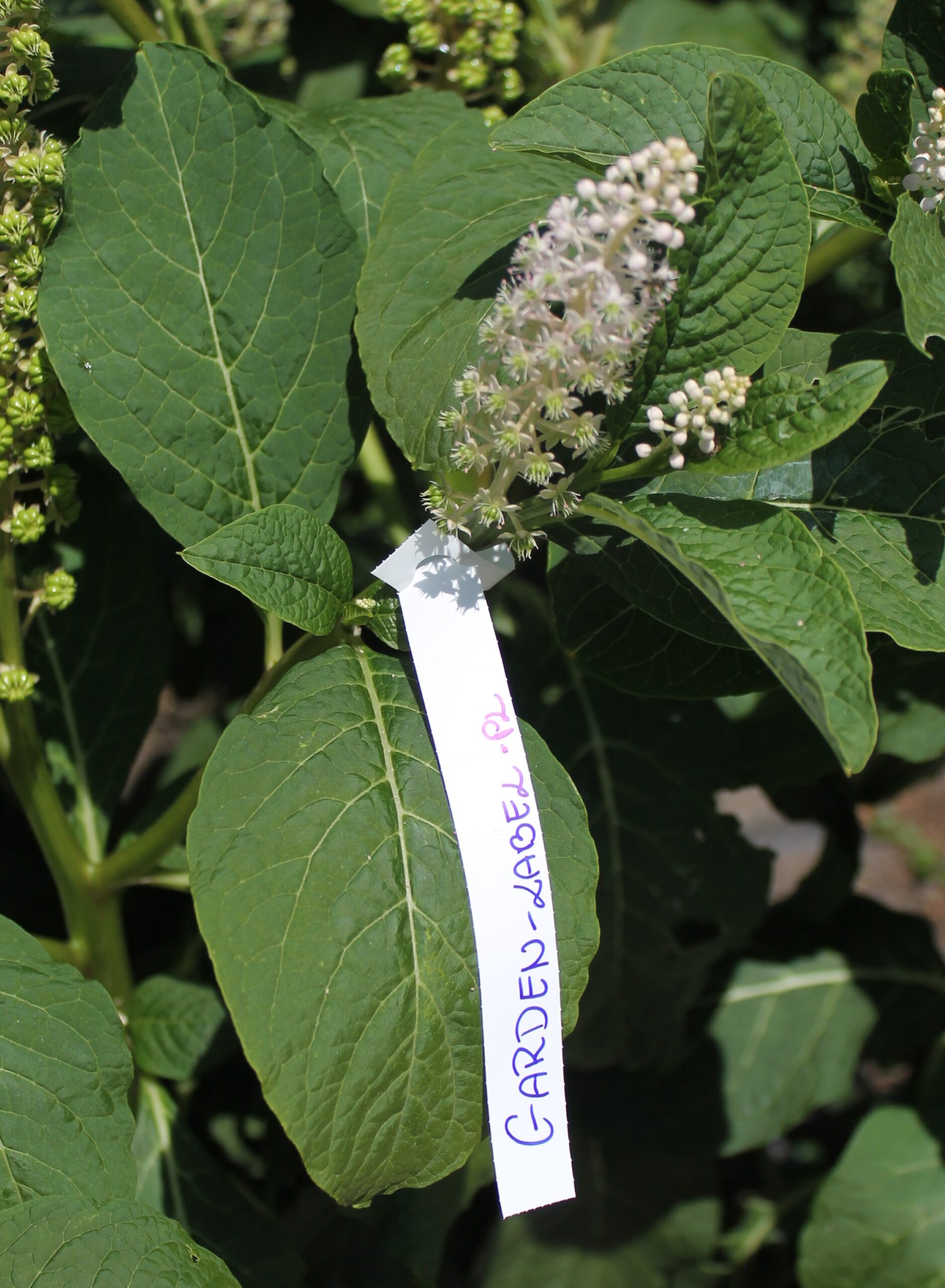 cb9e0acdf63dcc631e20159cfd0099ae