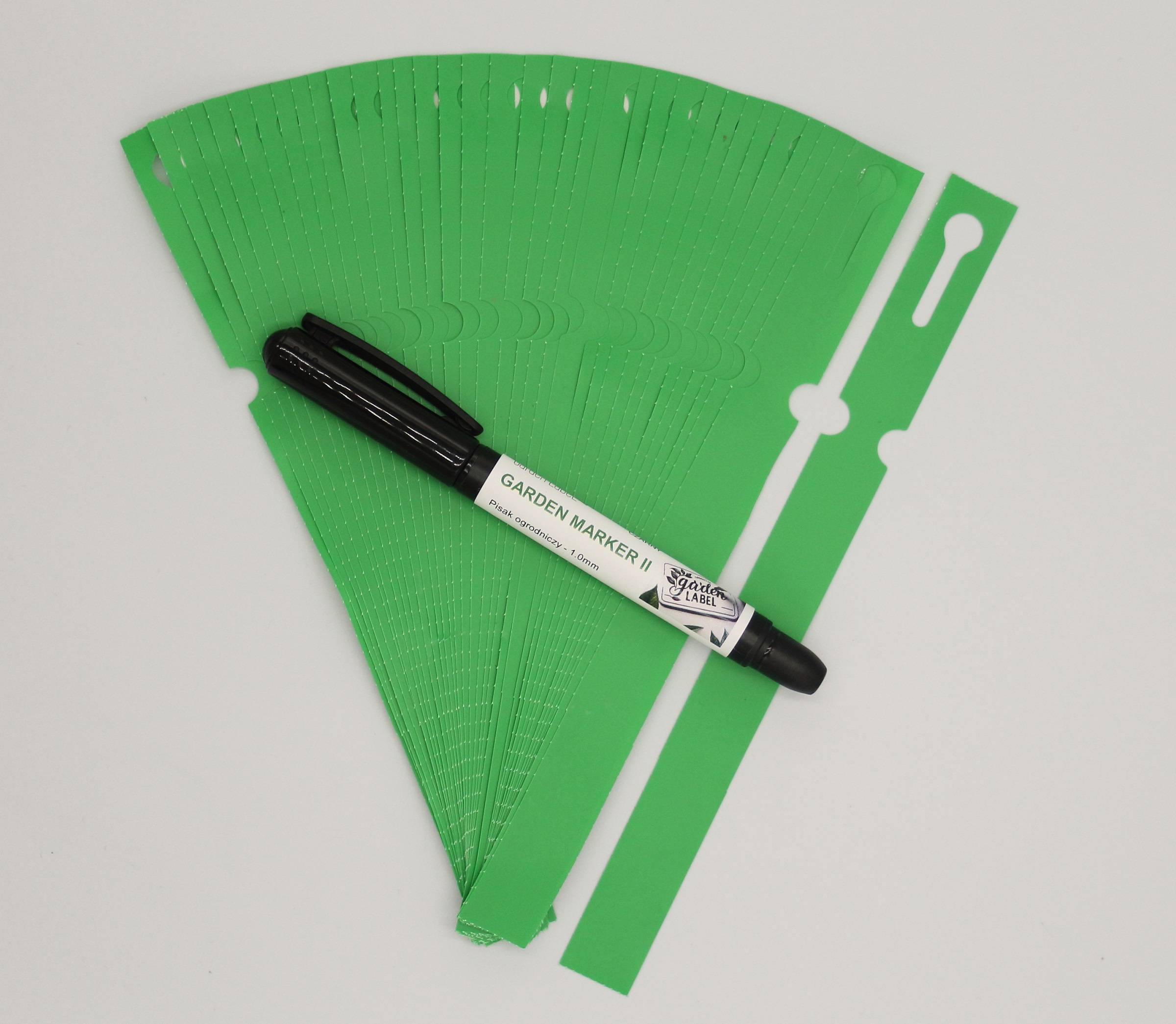 82f543896ff84251c15110d3d1553537