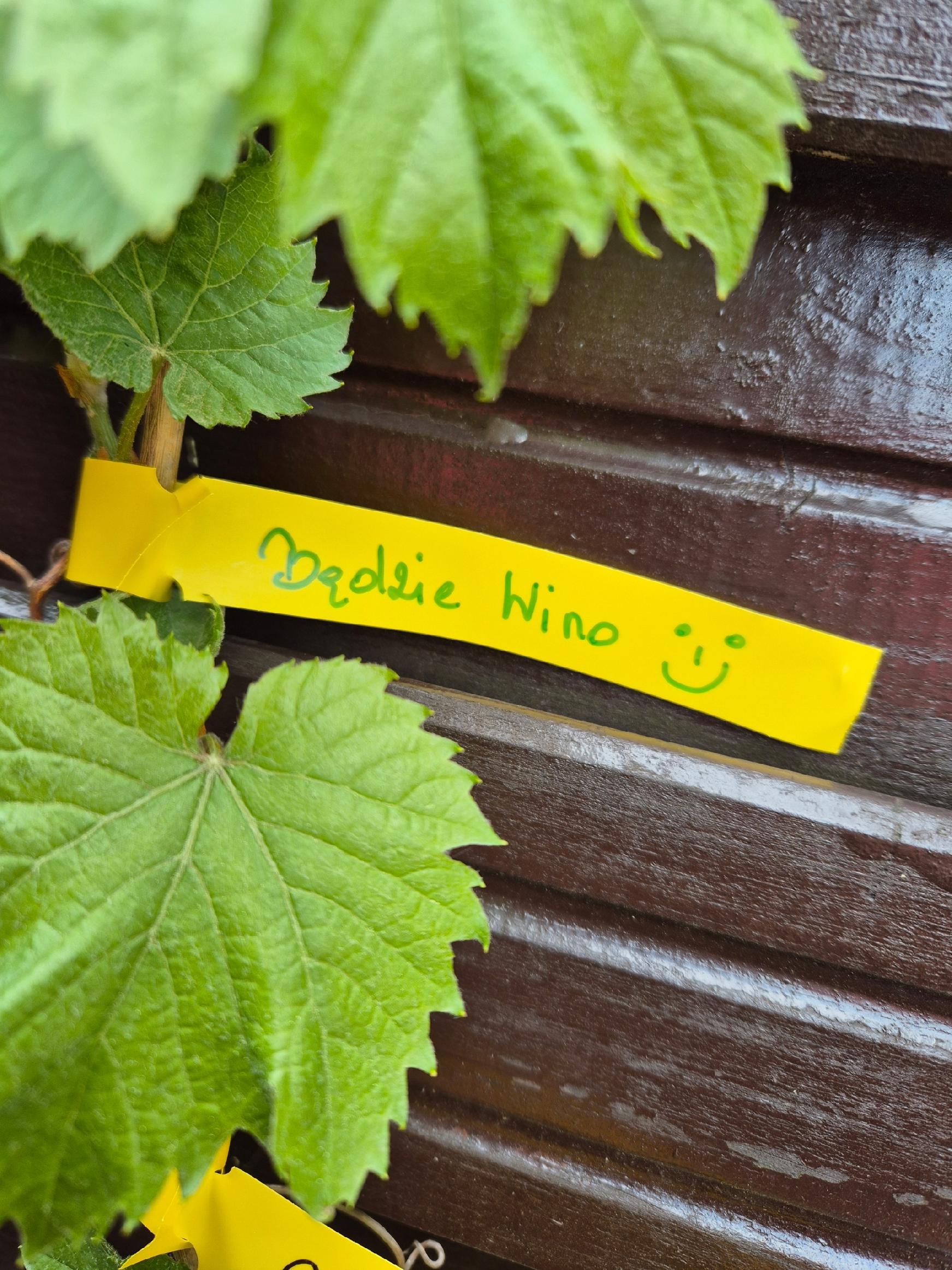 75d7e32152a6df2ffe26a6225d24268a