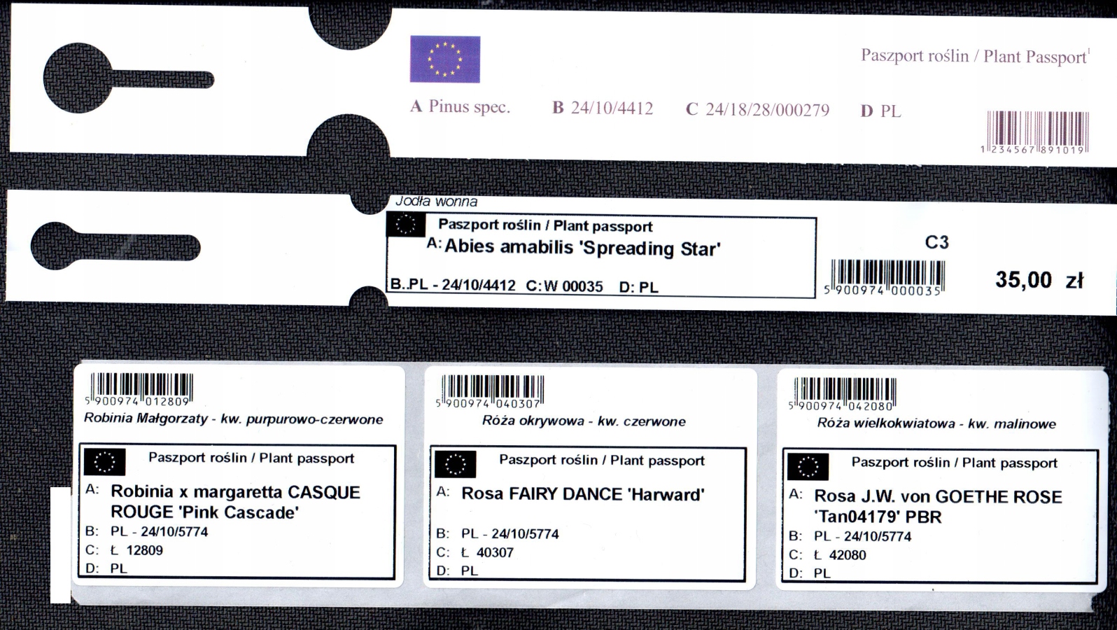 Etykiety ogrodnicze/sadownicze pętlowe CZERWONE 327x20mm(20x327)(60-155)100szt - obrazek 12