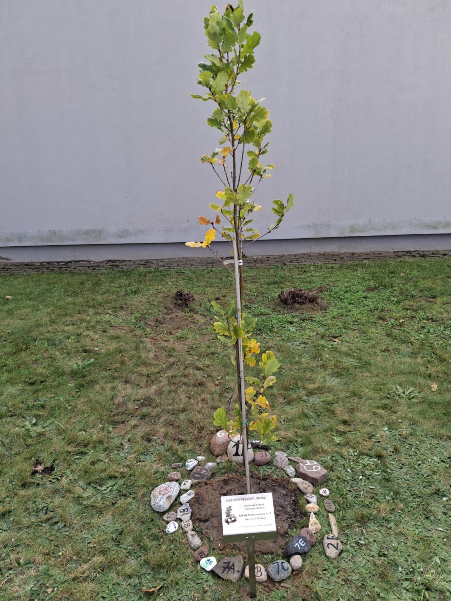 Tabliczka ogrodowa wtykana, nierdzewna, GRAWER Czarny, 155x105x450, PRODUCENT - obrazek 15