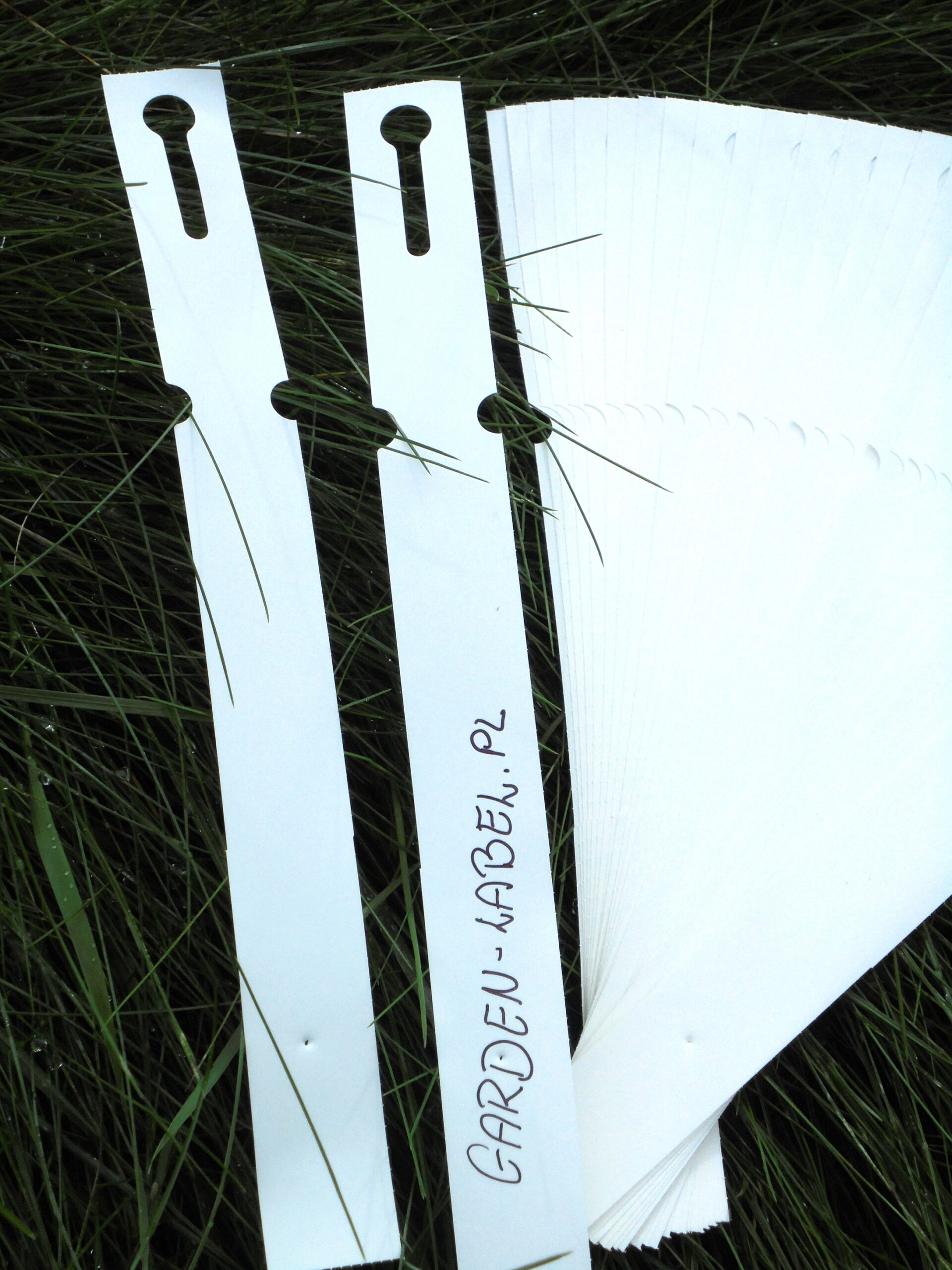 6bebe080a053439ef48b0480da3916f1