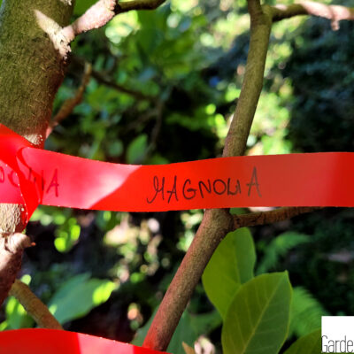 56747a3b68049afd4815c6a93ab642db