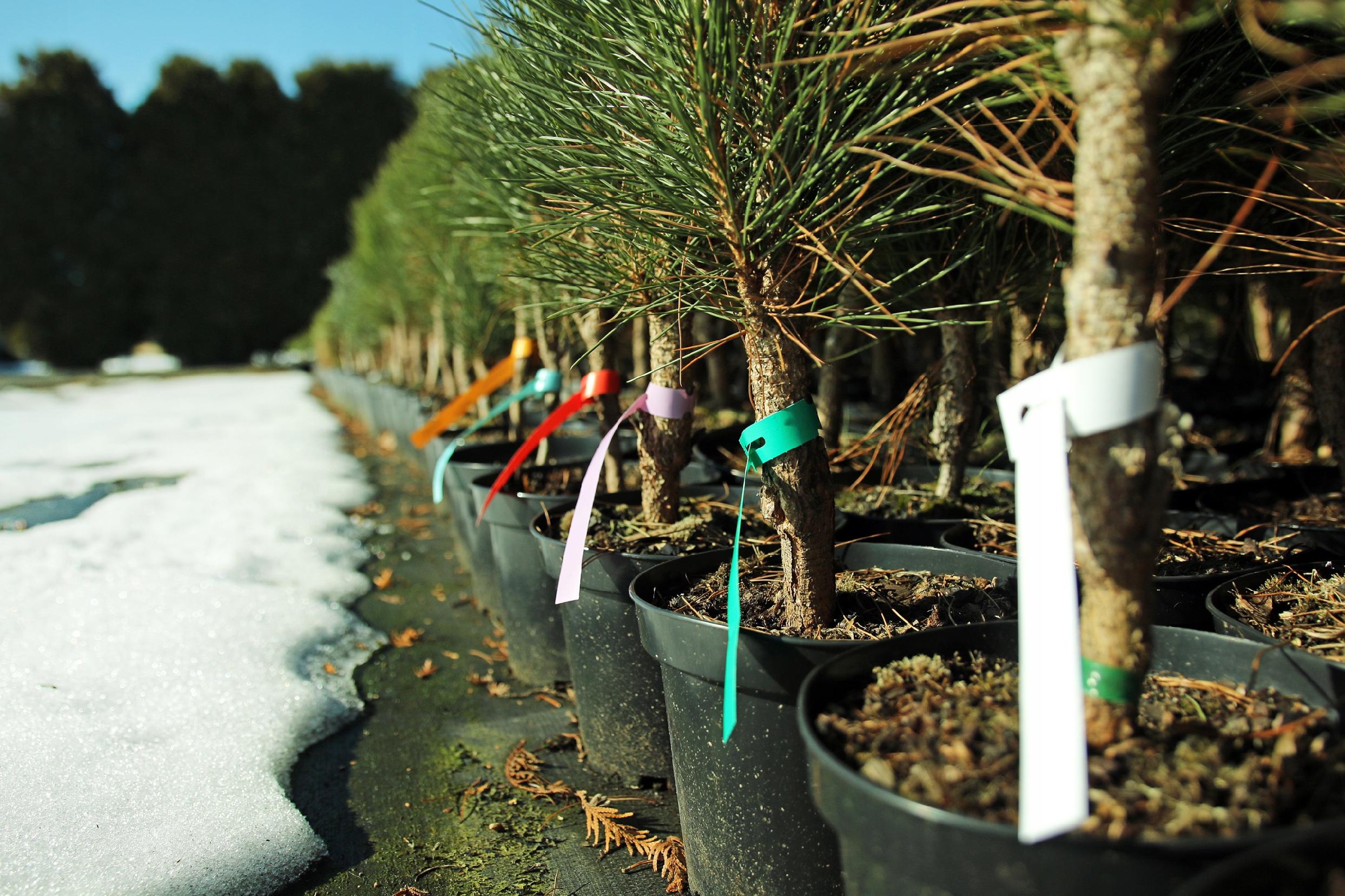 38d09cc16aaf5dd22ffa744b04f0d2b1