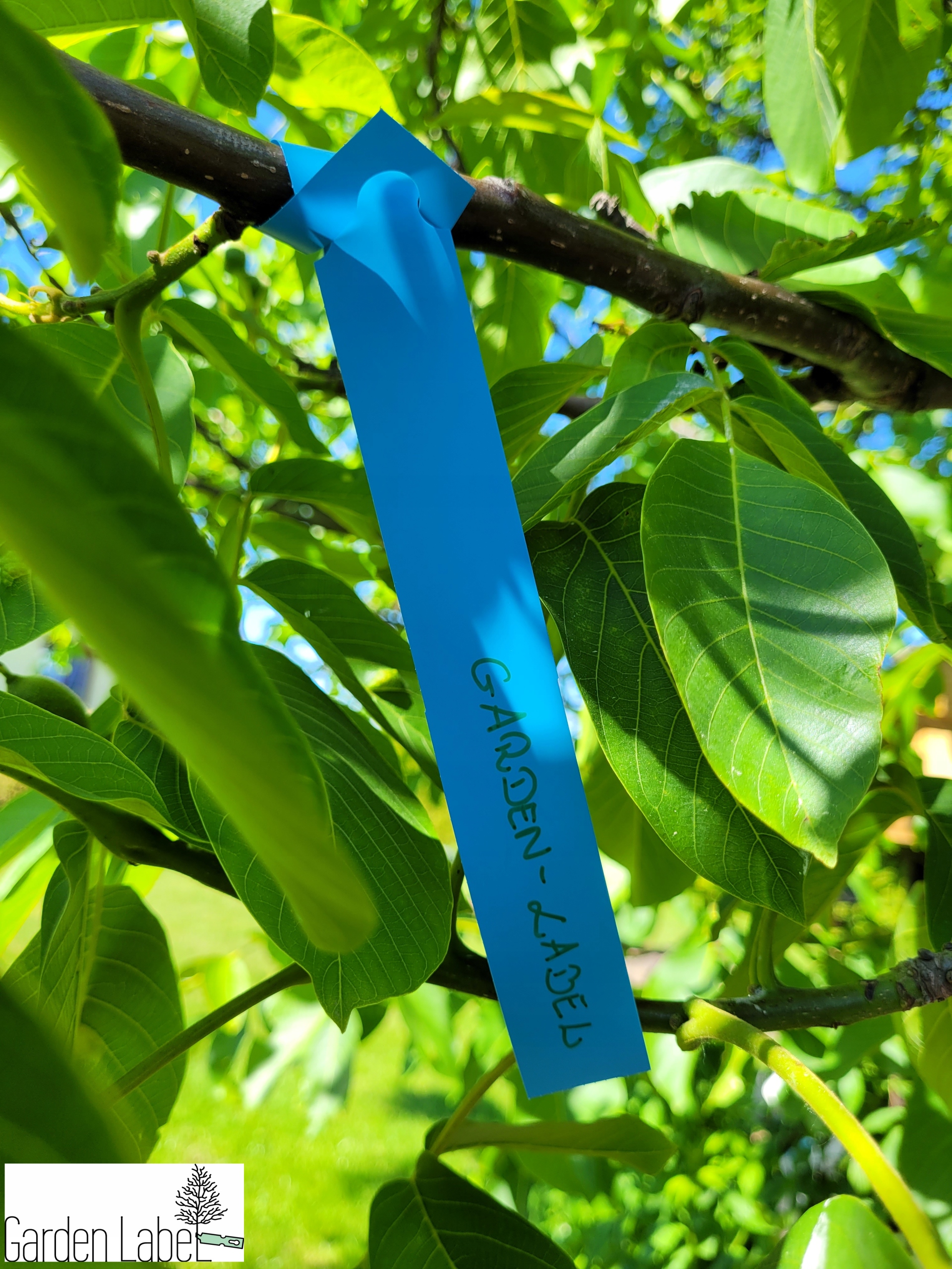 495228eecfe5649f1c1dc1c23d05a38f