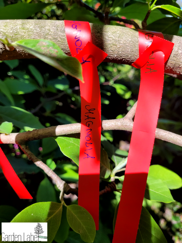 d0c896bb40ae51123200977fb01215e8