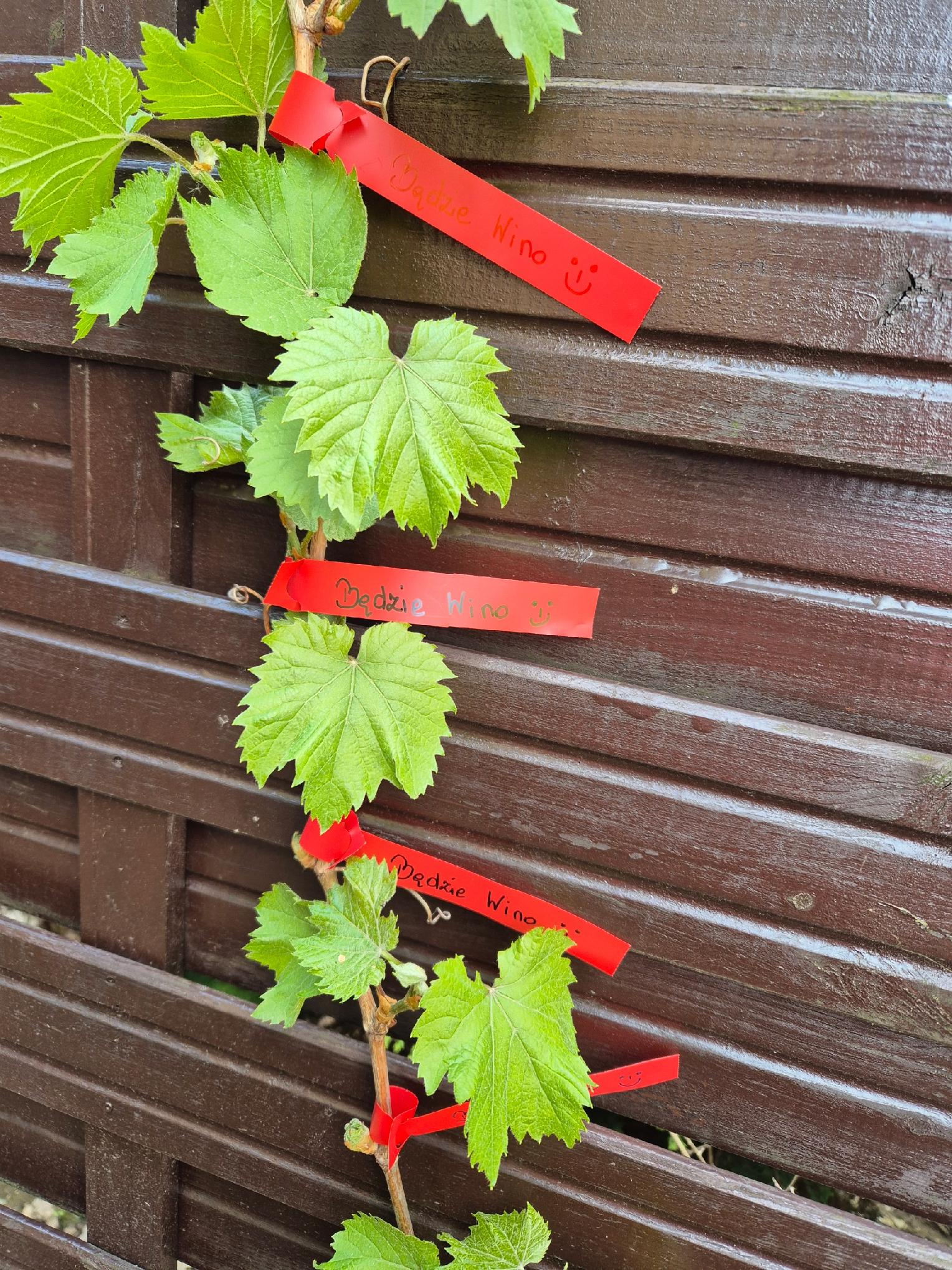 0c72c5813d82bdadd269b5fae39e1ce2