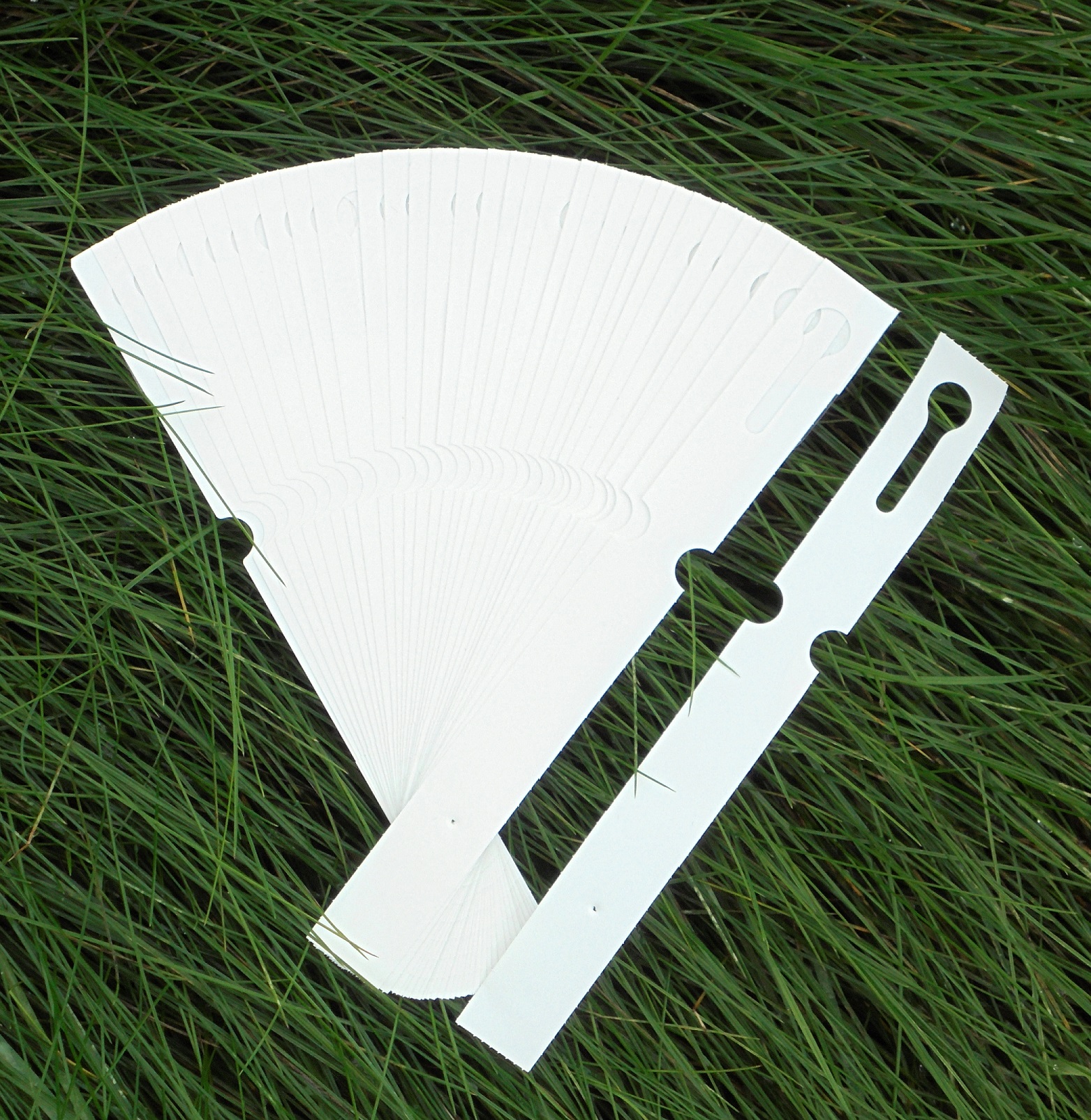 c8f76cc0db6be42c9c4d7d7f9c7b946d