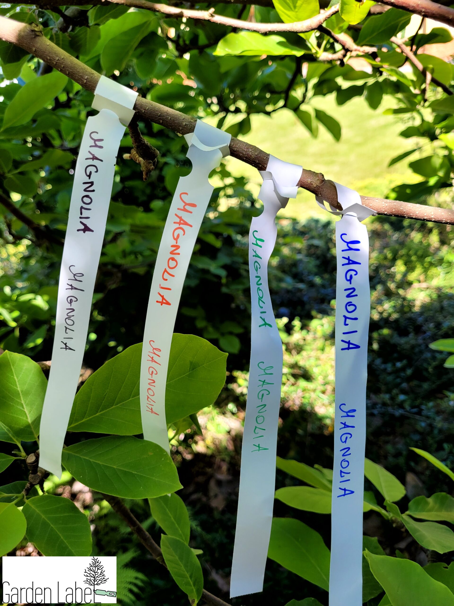 ea6f71e00a09a2c42722cdc158fa8803