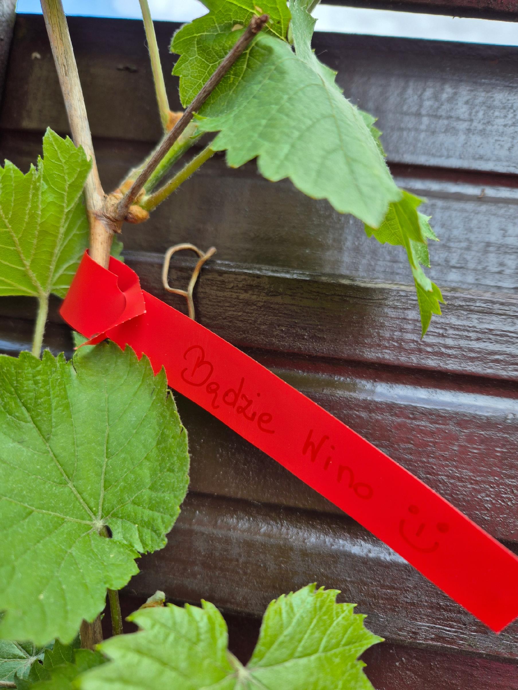 0f358767b5520fed17410ed2725c00f3