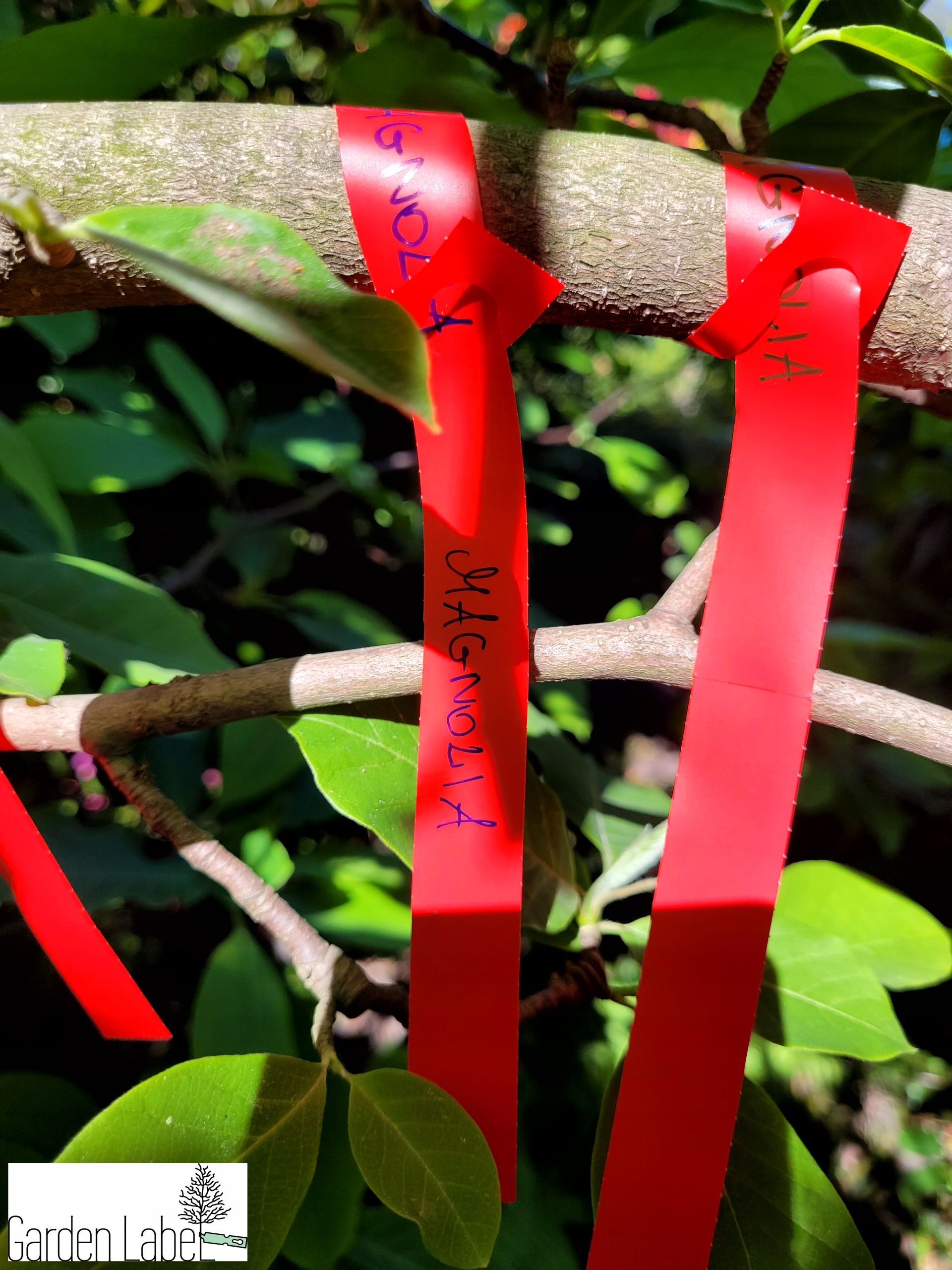 Etykiety ogrodnicze/sadownicze pętlowe BIAŁE 160x17mm(17x160) 5000szt - obrazek 14