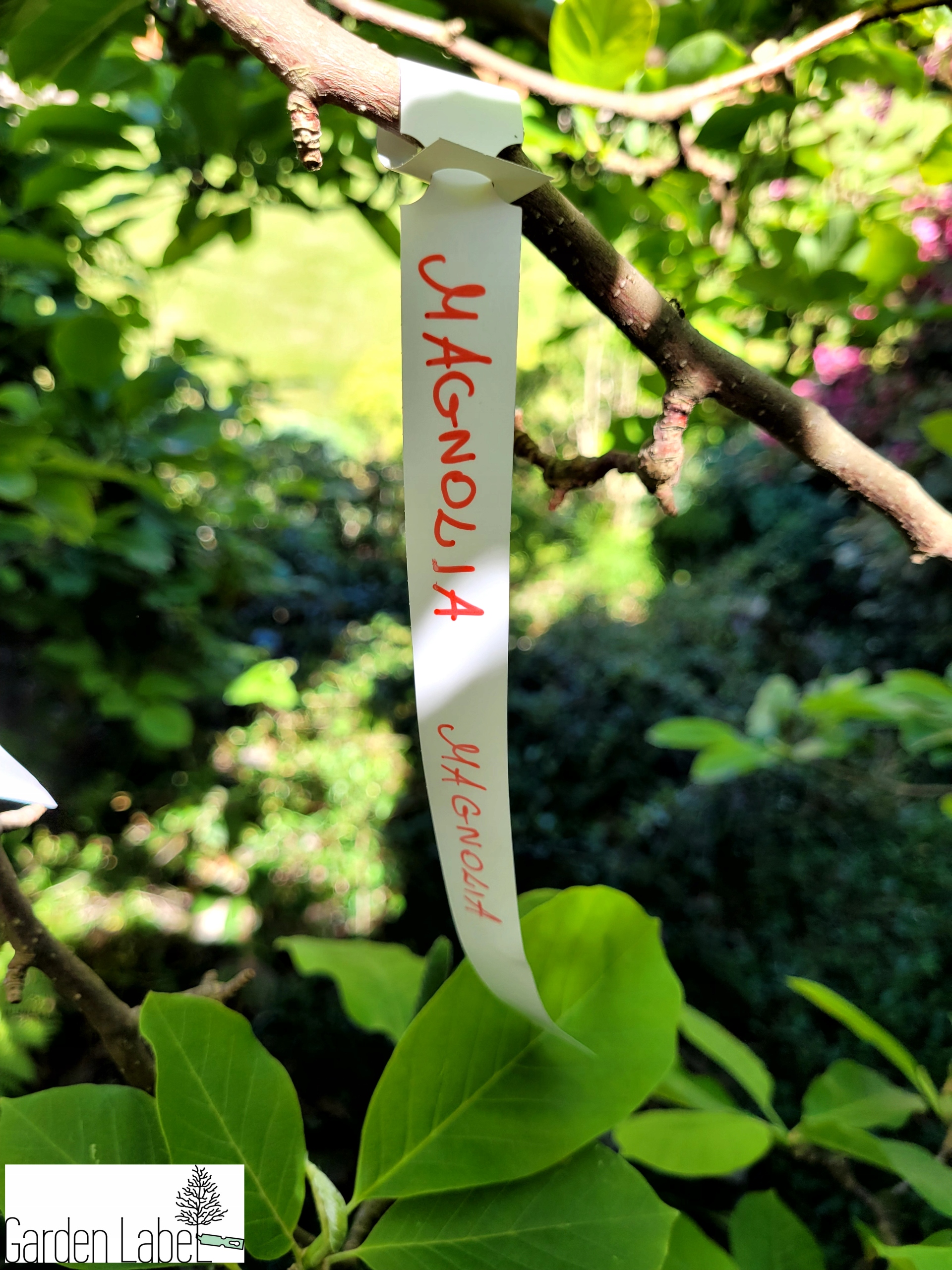 6d8da6b57e53ee32a74c462e1b6fc908