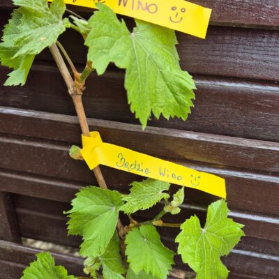 06c26059c85eda7c6cbef64c871e6ab7