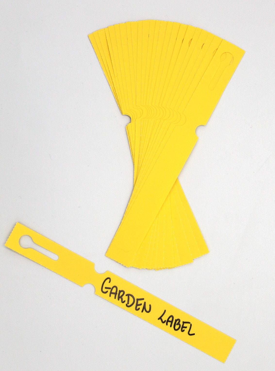 7397a4417a76cf0f4fbc1f064a7303f4