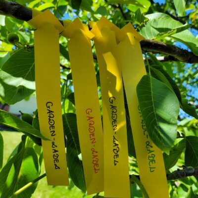 96776746f3f9281fc7738b8498963dc9