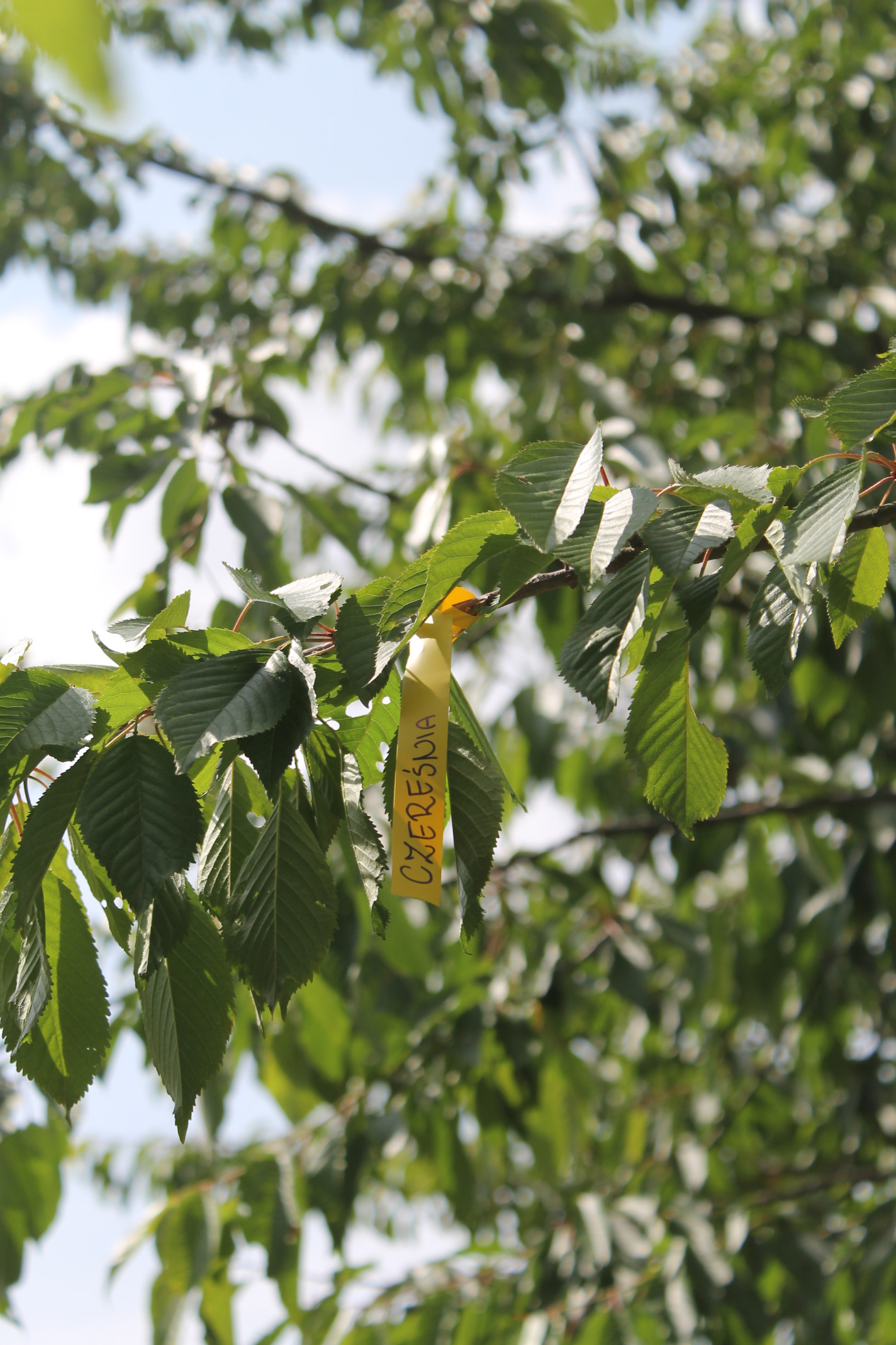 0c3192cac2046b70f424d2cfab063920