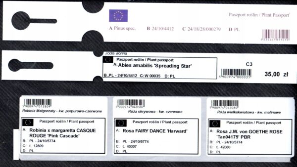 Etykiety ogrodnicze - sadownicze pętlowe CZERWONE BDUŻE 327x20mm (20x327) 3750 sztuk (60-155) - obrazek 12