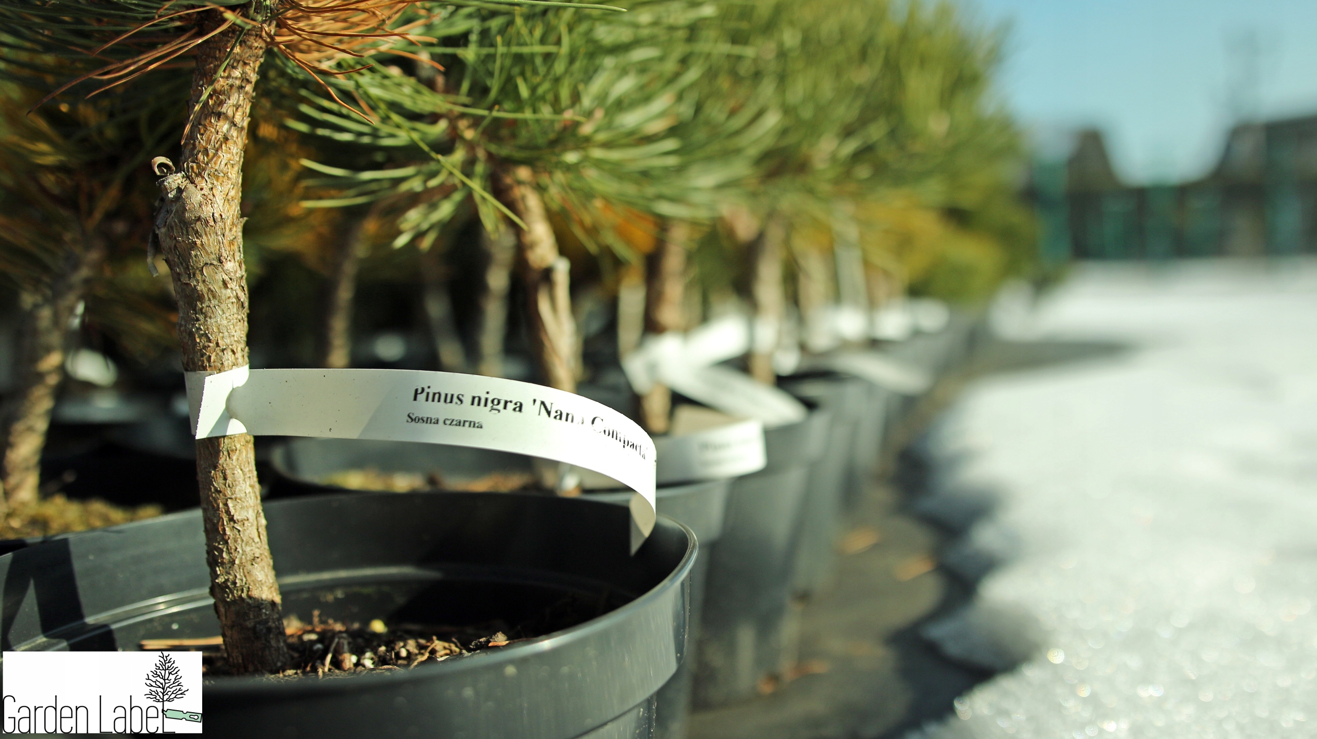 Etykieta Ogrodnicza samoprzylepna 99x143,5mm do drukarek laserowych 100 szt - obrazek 8