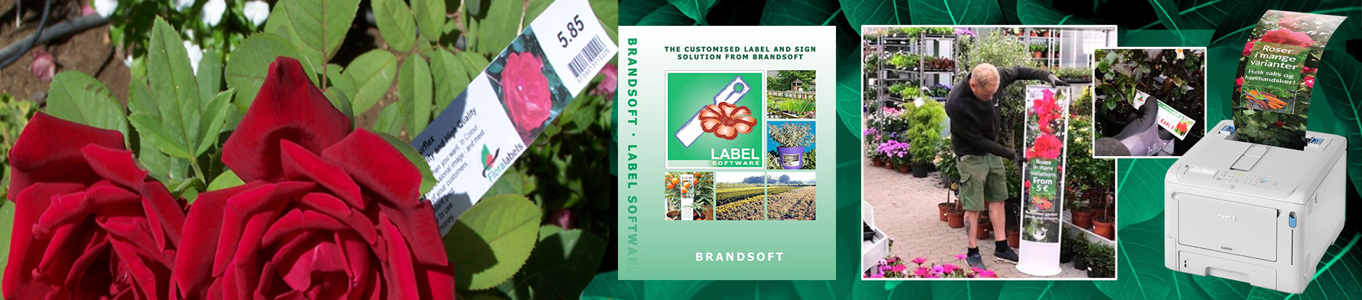 Etykieta pętlowa - Loop Label 38 x 250 mm without tear-off tab (5) (4031) FloraLabels - obrazek 6