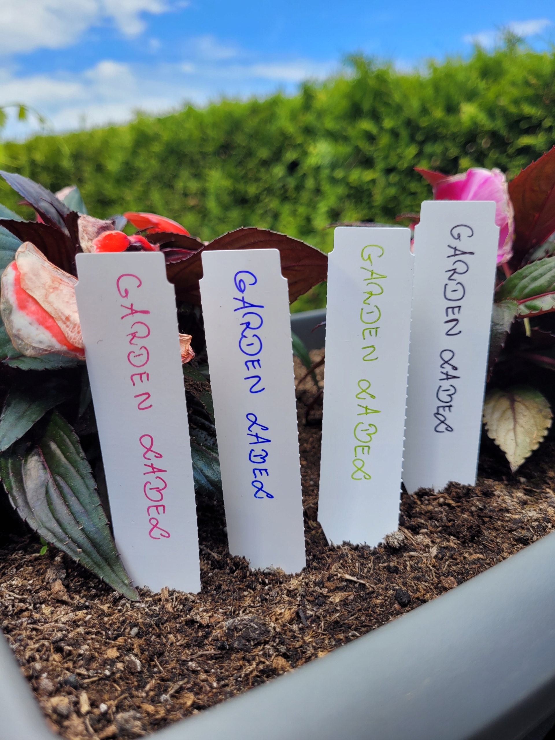 Etykiety pętlowe do opisu roślin NIEBIESKIE DUŻE 400x20mm(20x400)(60-155)100szt - obrazek 8