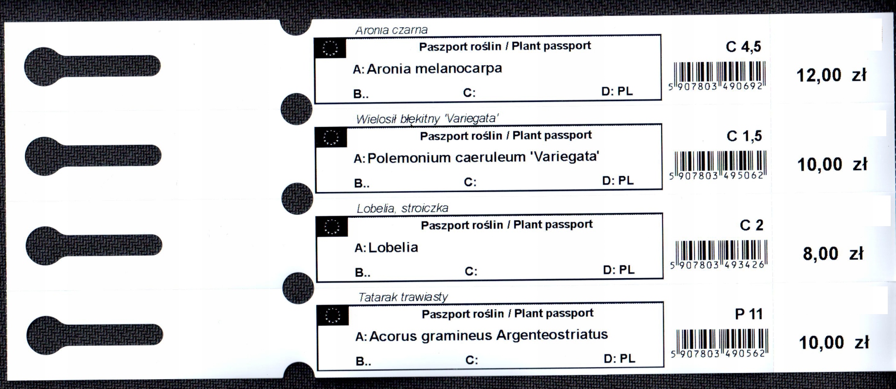 Etykiety ogrodnicze/sadownicze pętlowe BIAŁE DUŻE 400x20mm(20x400) 1000szt - obrazek 11