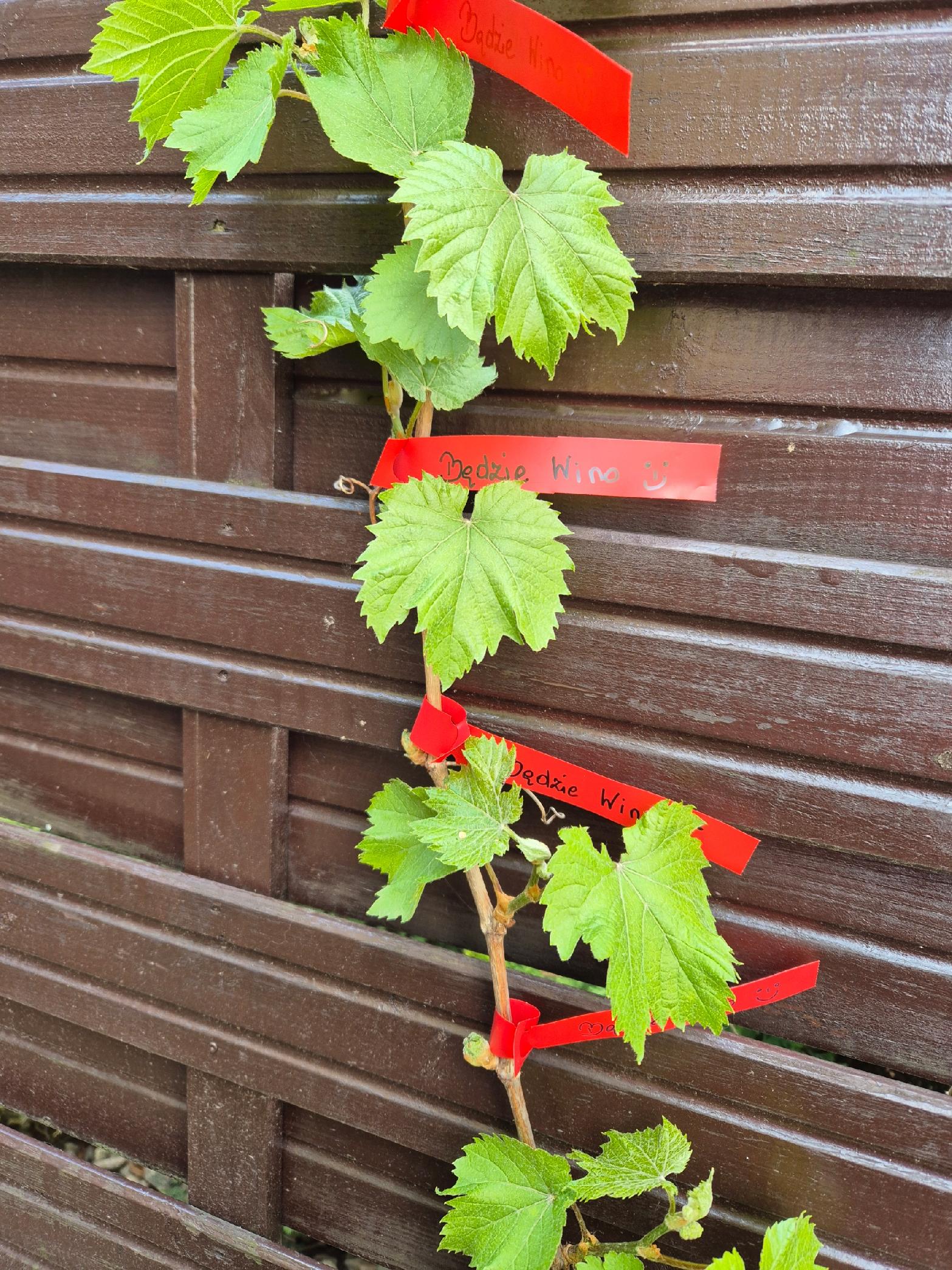 76b9ab48e376e7cf8c2bf2726ad1d954