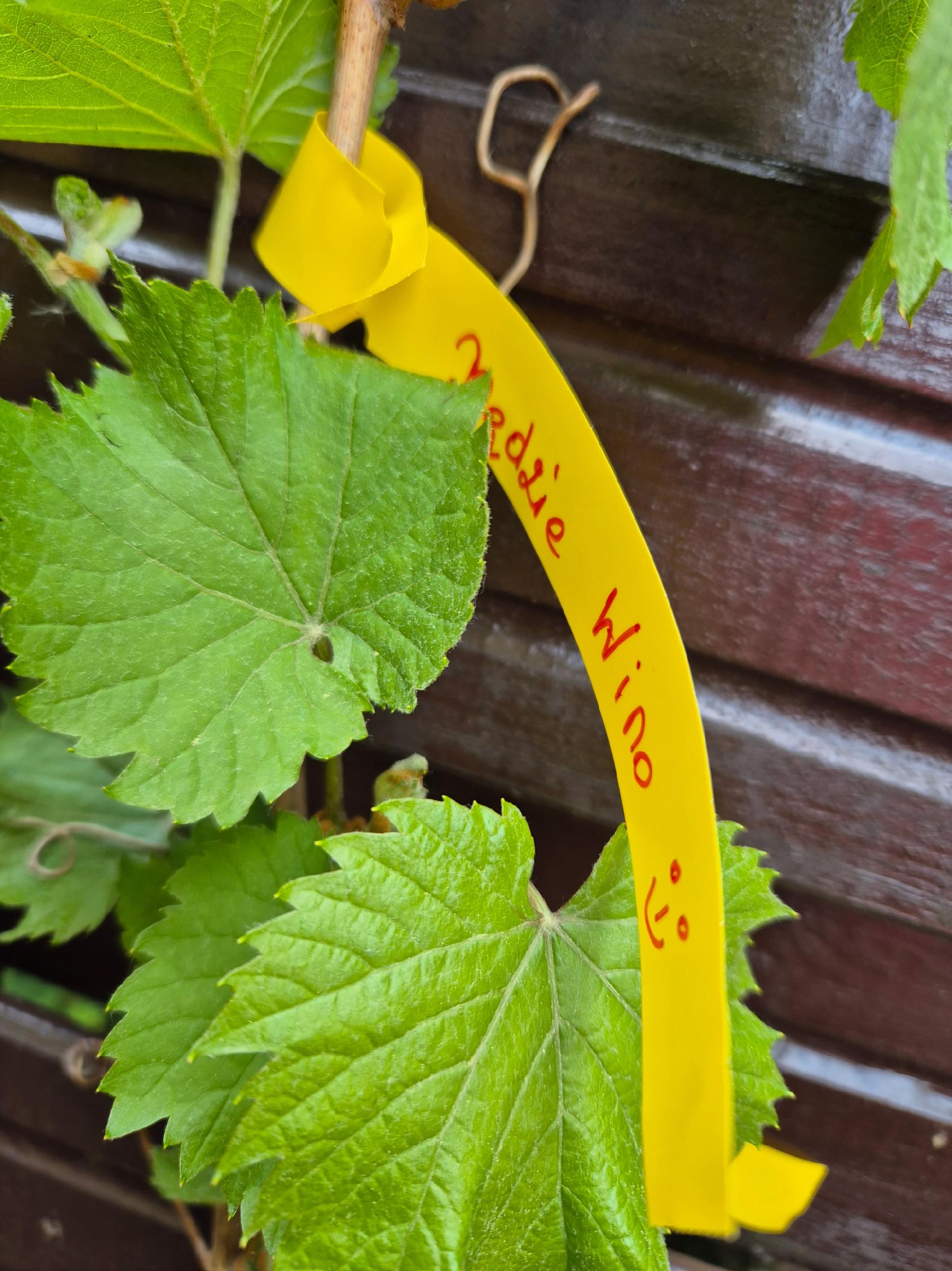 8b76759fa318fa84e0ed22ecf5678af2