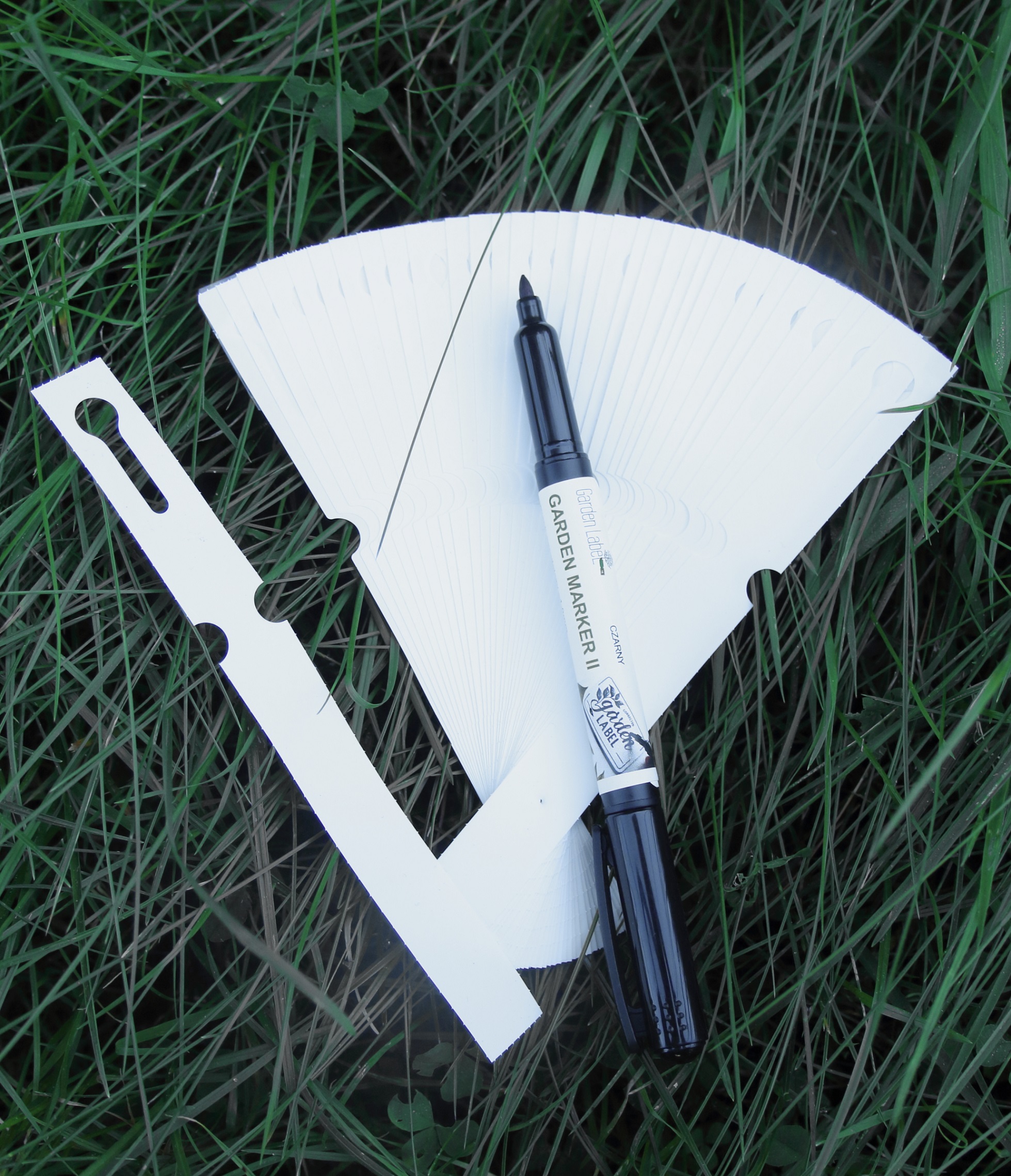 37cbf934c94fb1b560931b579407775d