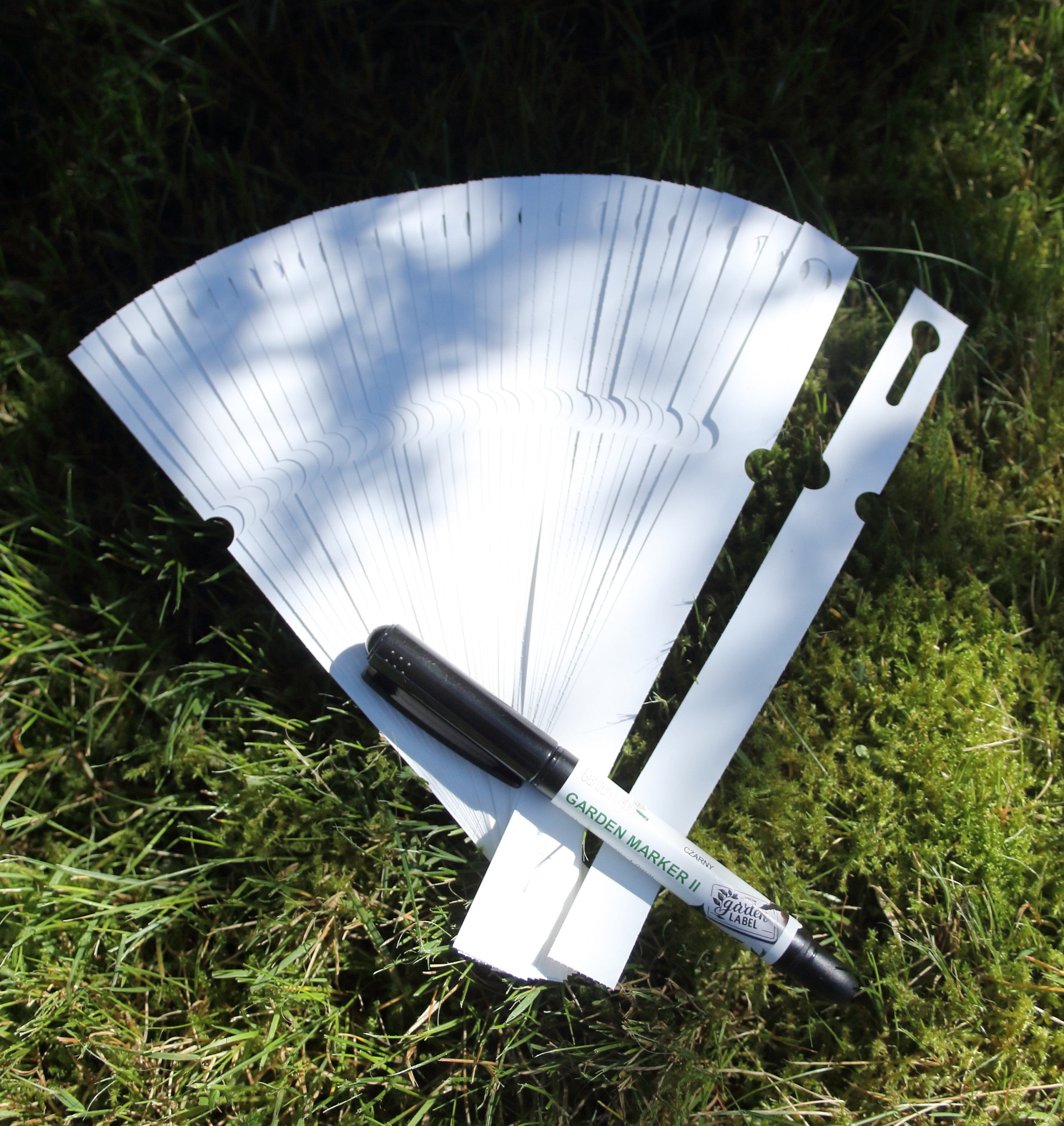 4a501119a505f12cf940a86a4be45ac3