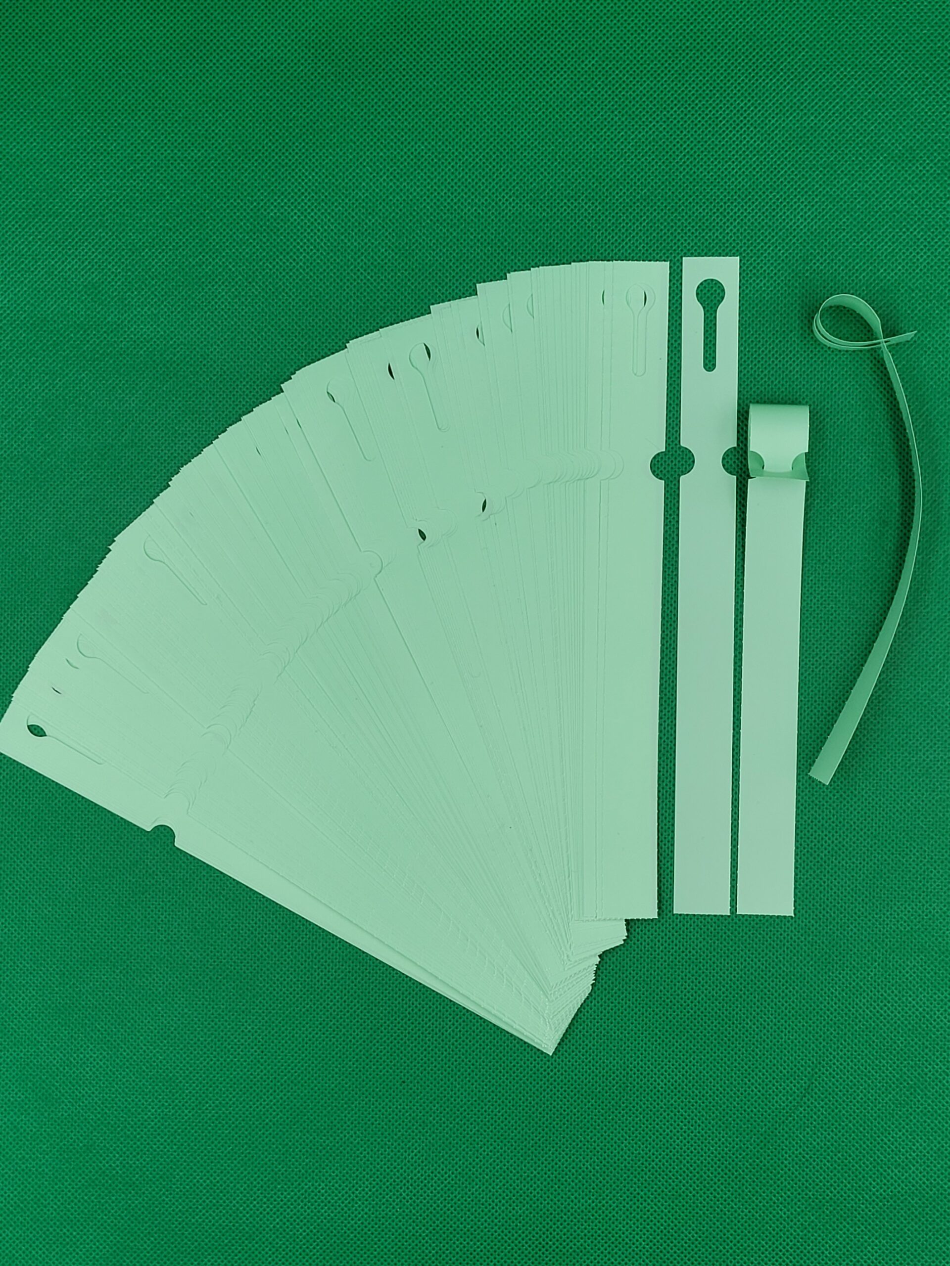 Etykiety ogrodnicze/sadownicze pętlowe MIĘTOWE 160x17mm(17x160) 100szt - obrazek 2