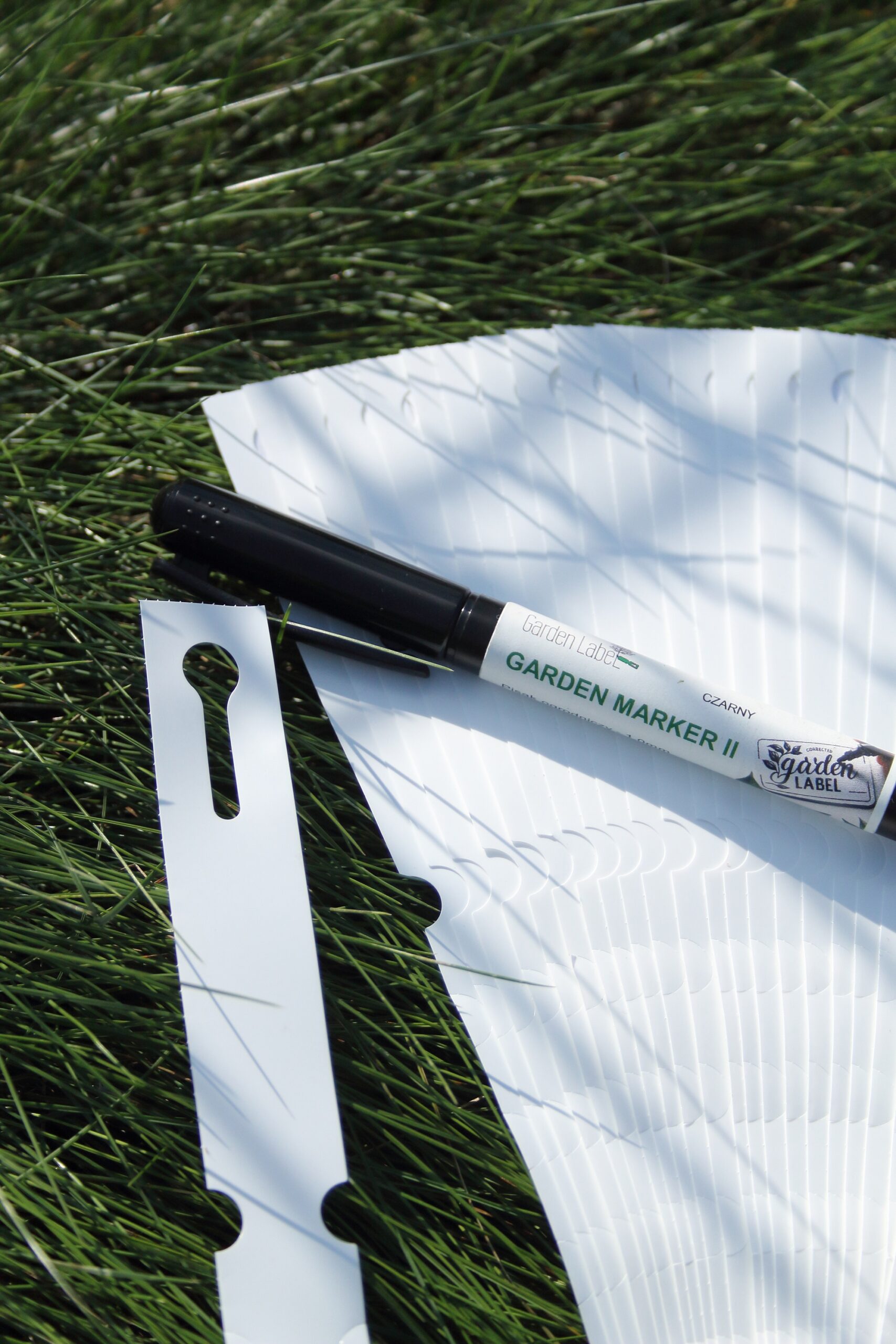 1320fe6ed1d3c203607d2035e93d0b21