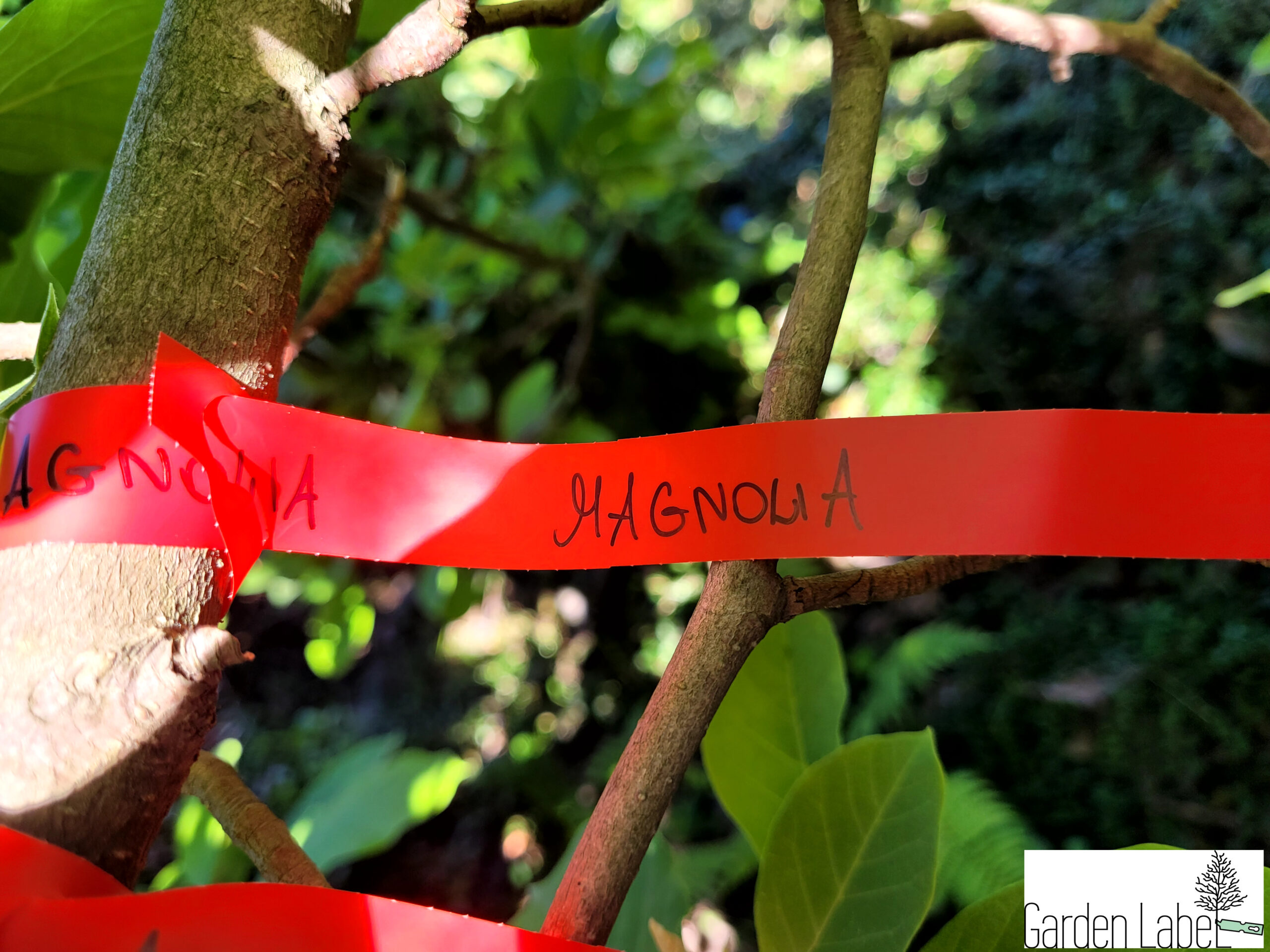 Etykiety ogrodnicze/sadownicze pętlowe CZERWONE 250x25mm(25x250) 2000szt - obrazek 7