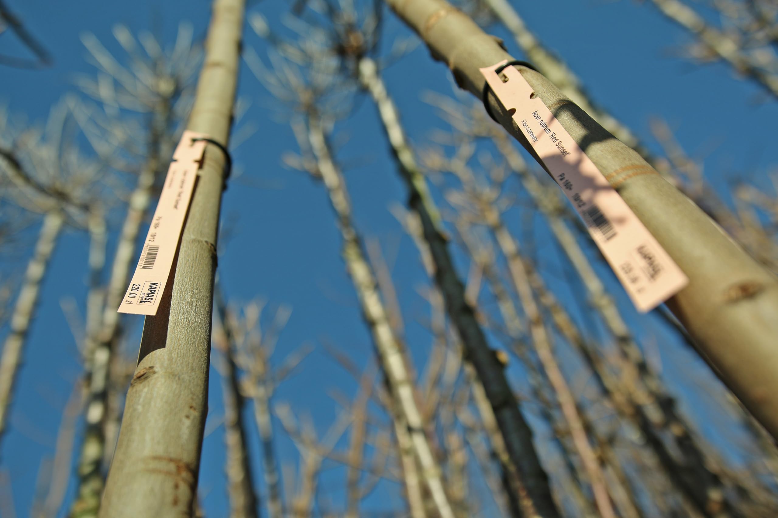 24f188e68fe55f5a62cbb381cff57414