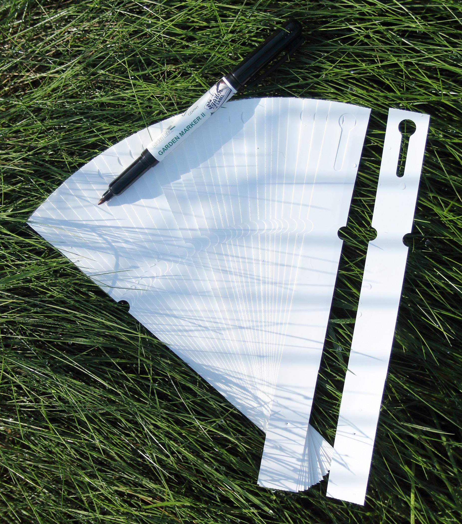 d133027c118a70a1f7c5b00737291771