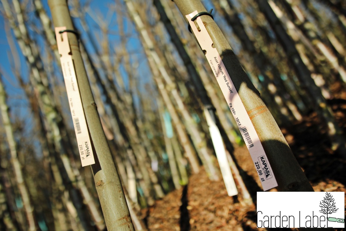 b888527a319a274717c1522123fdb1de