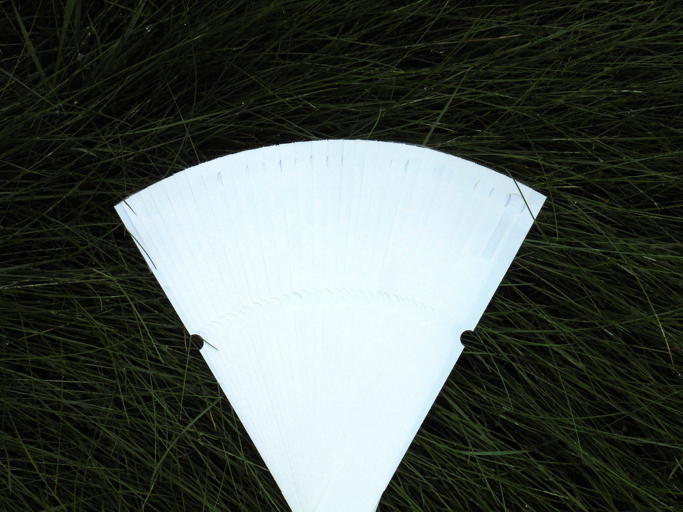 df0016bd730e7cb994f06844f9770cbf